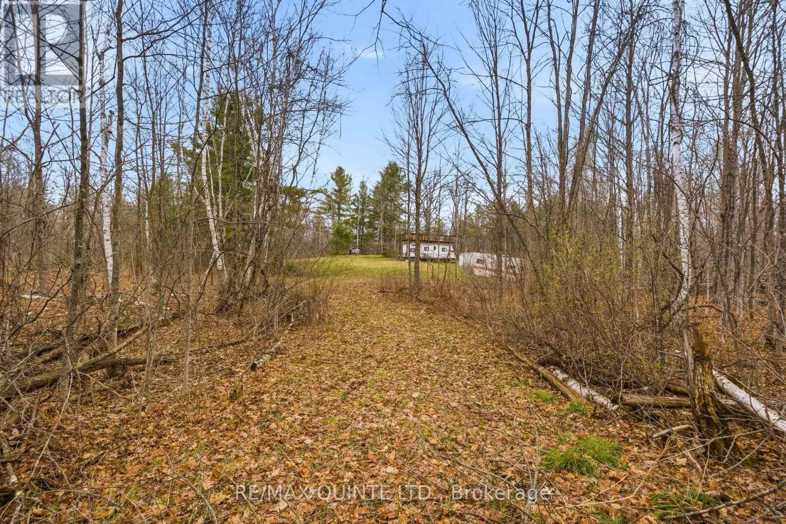 87 GULL CREEK LANE