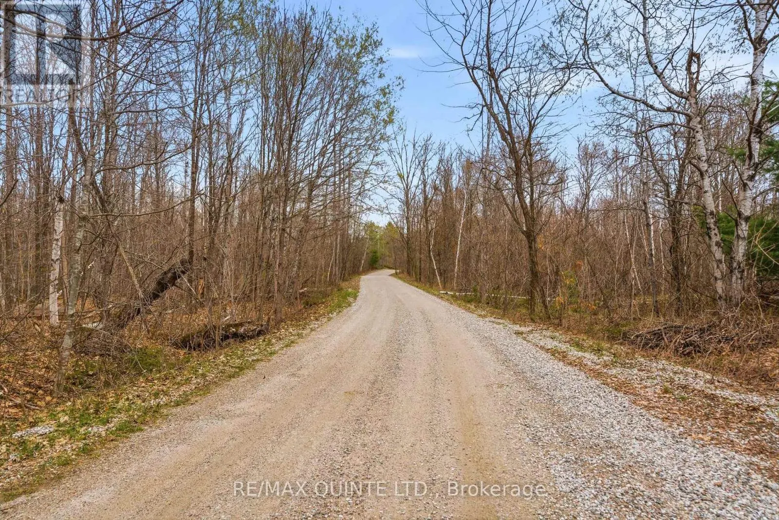 87 GULL CREEK LANE