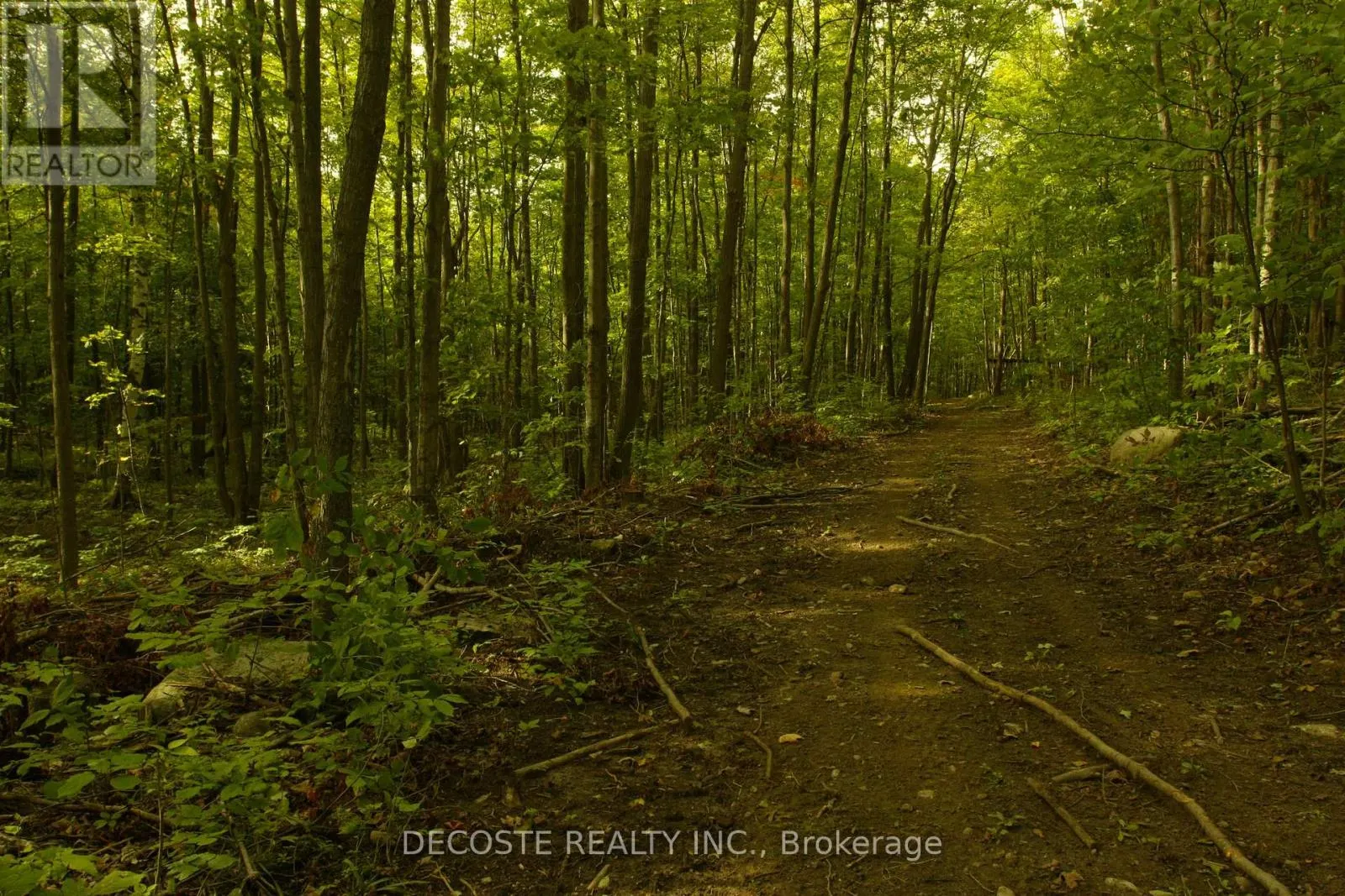 0000 COUNTY 43 ROAD
