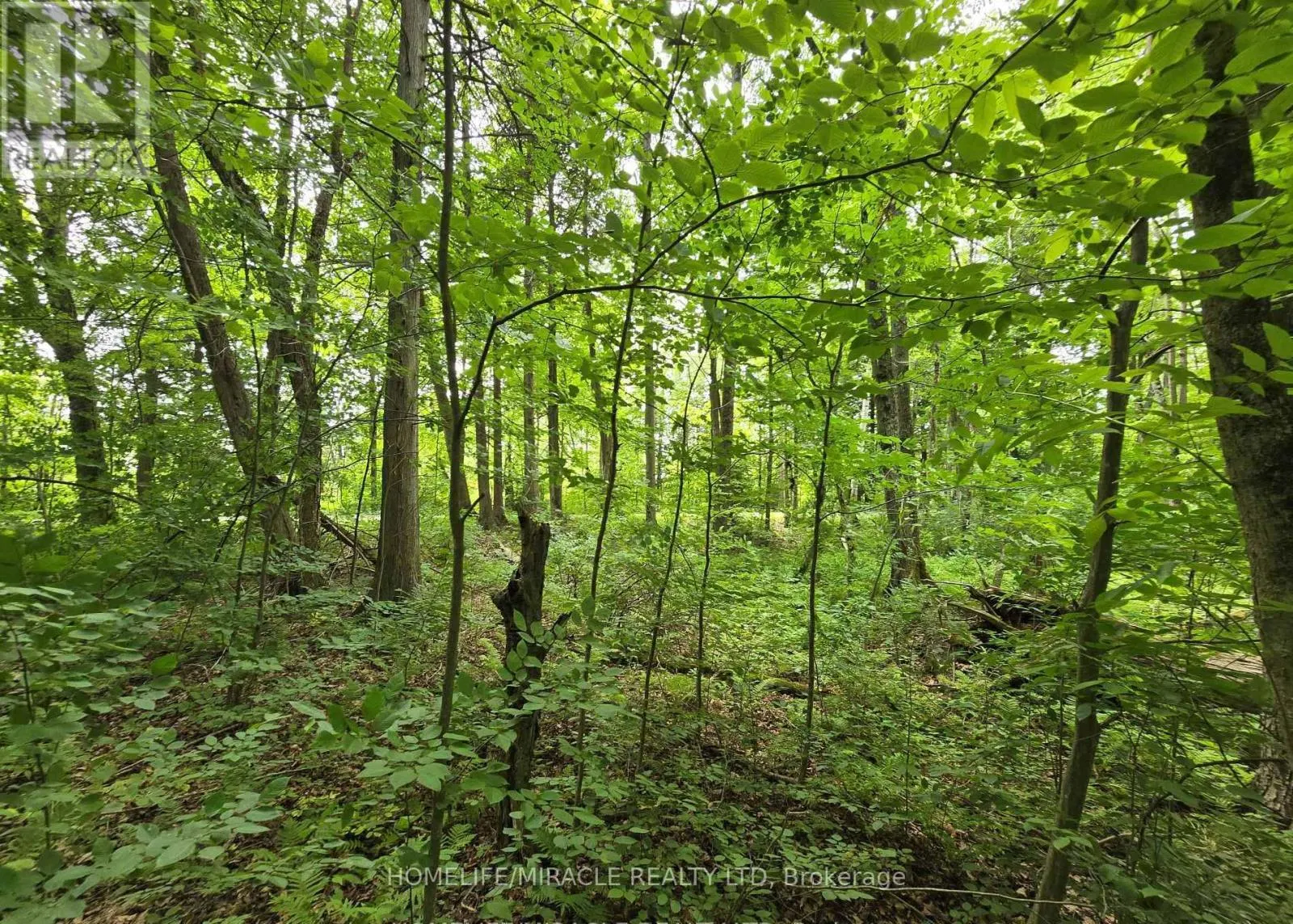 000 CEDAR SANDS ROAD