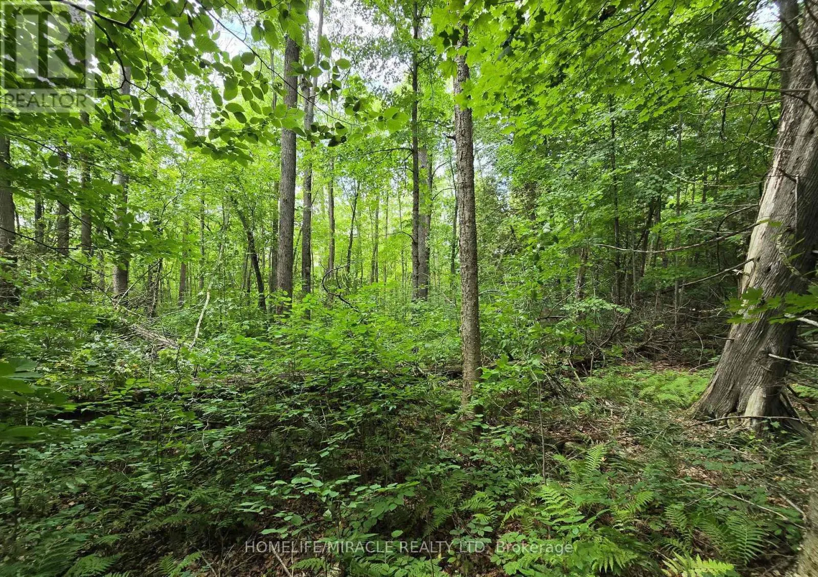 000 CEDAR SANDS ROAD