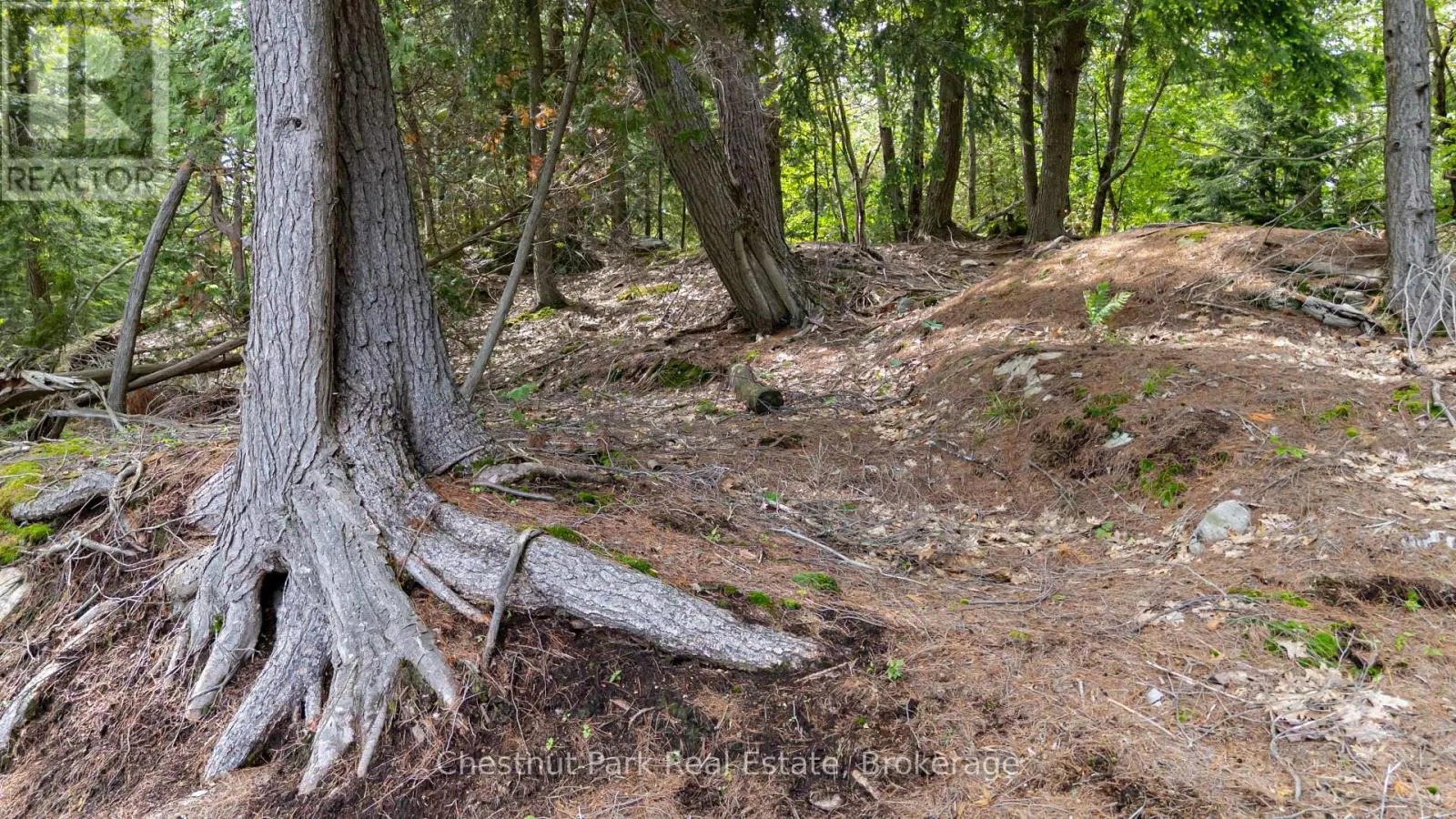 0 MEDA ISLAND LOT 4