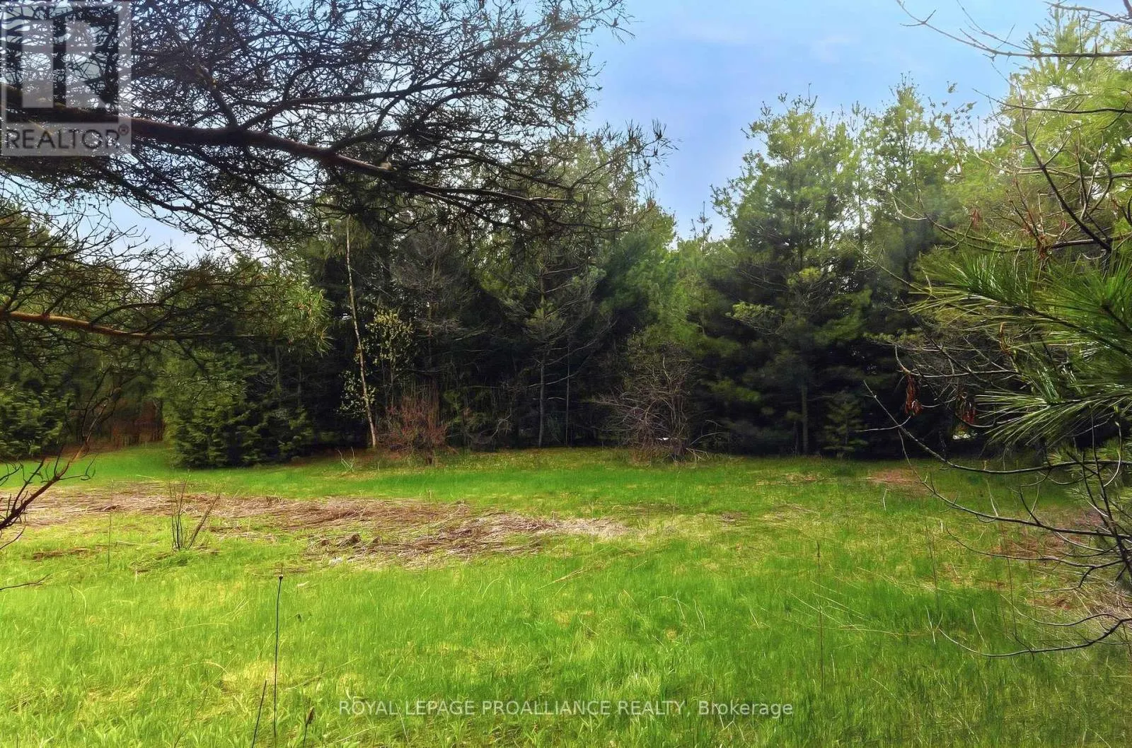 0 WOODLAND AVENUE