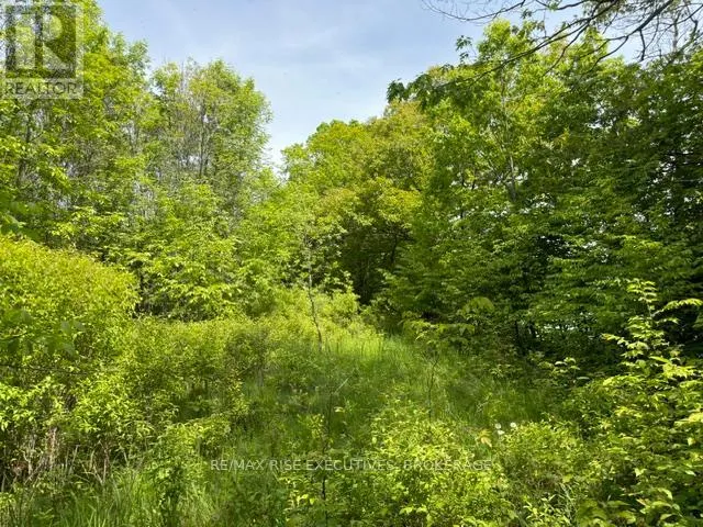 PT LT 5 WYONA LANE