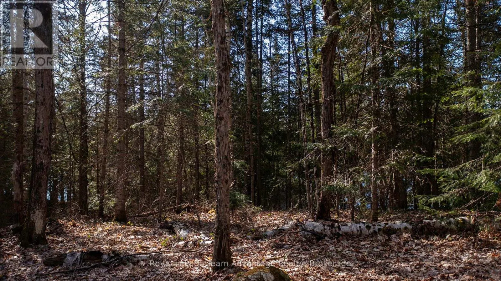 LOT 1 GREENWOOD WAY