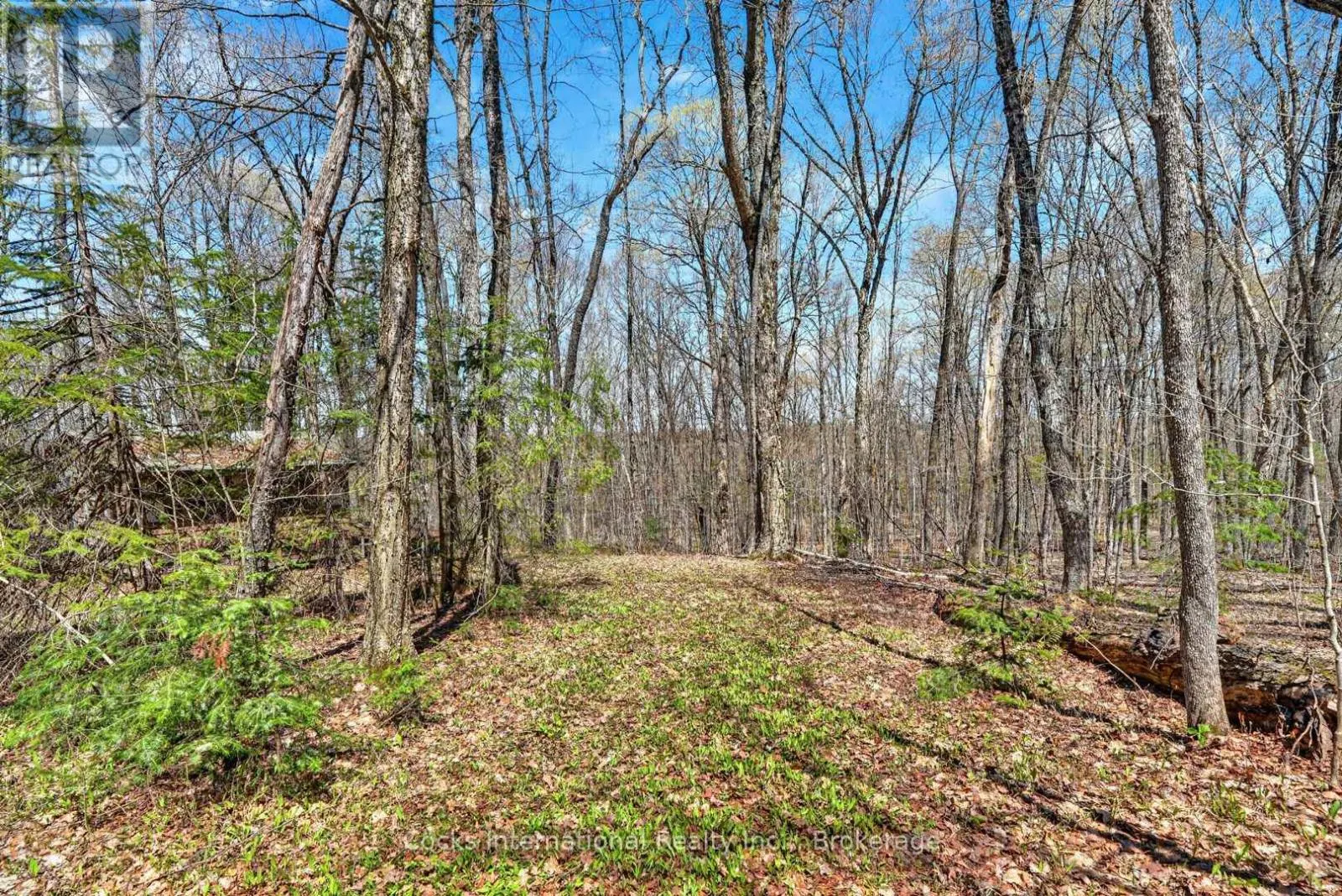 1165 SPRING LAKE ROAD