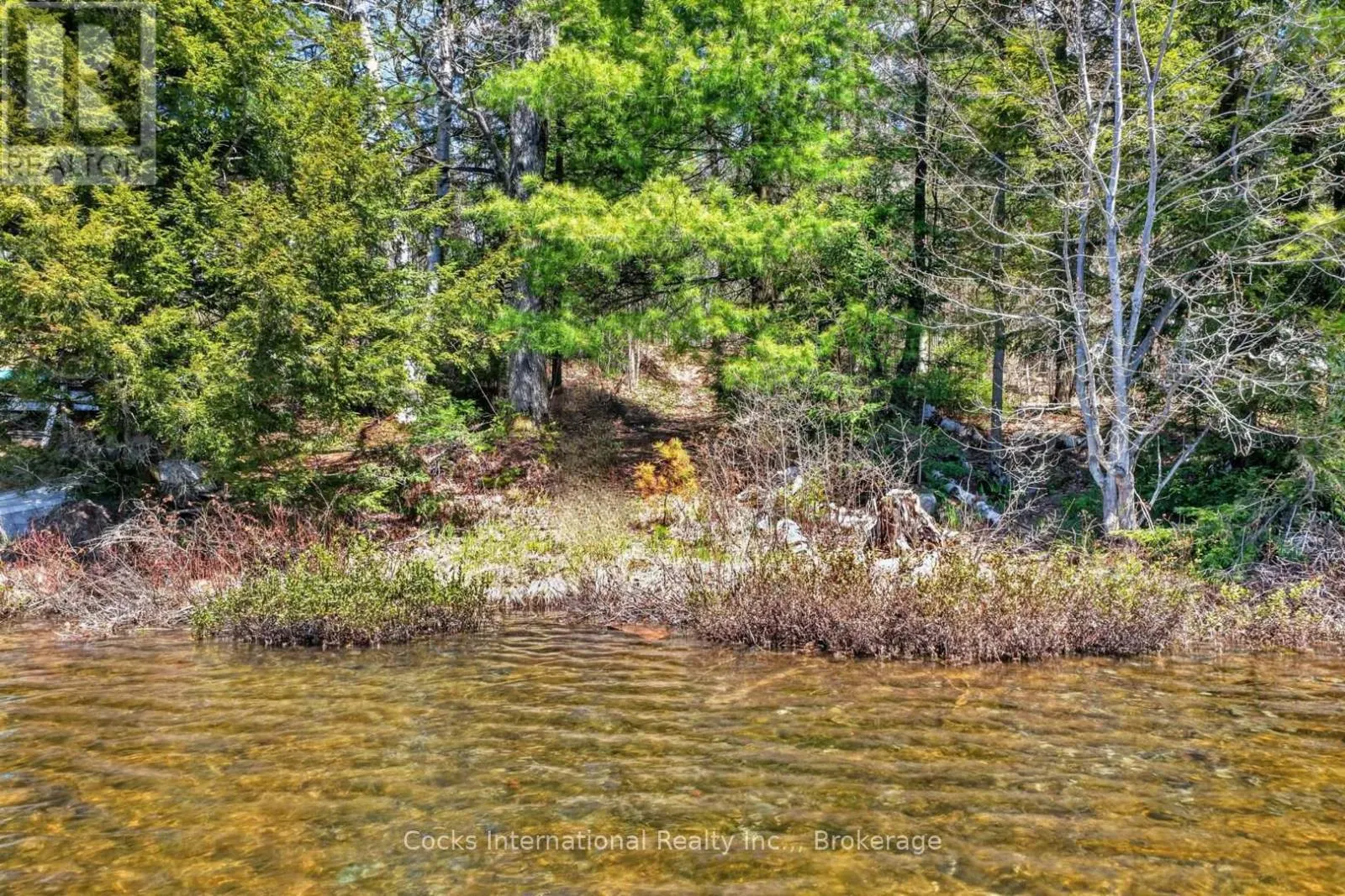 1165 SPRING LAKE ROAD