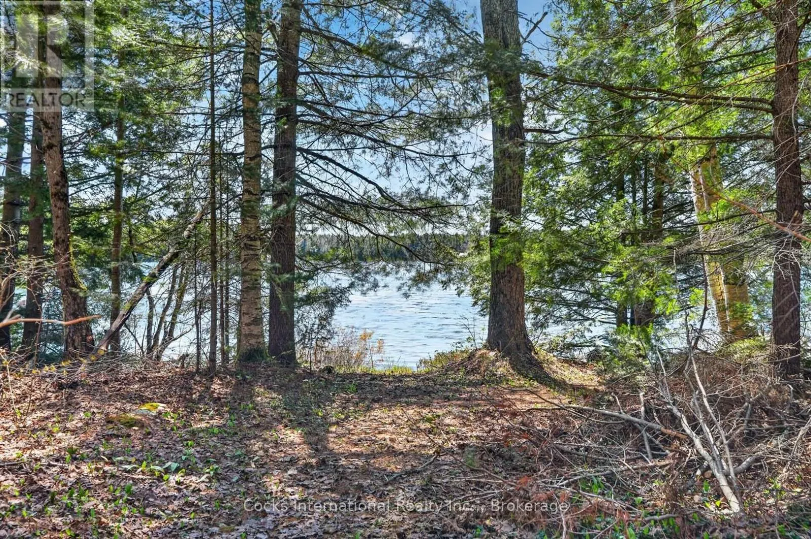 1165 SPRING LAKE ROAD