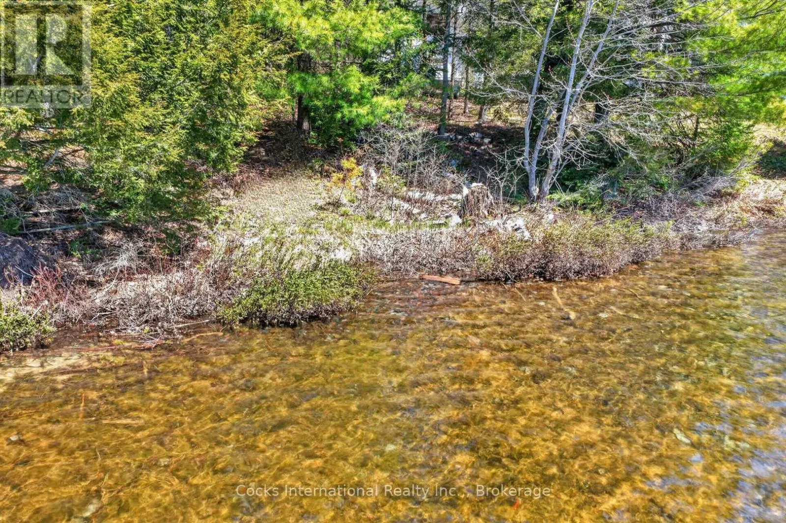 1165 SPRING LAKE ROAD