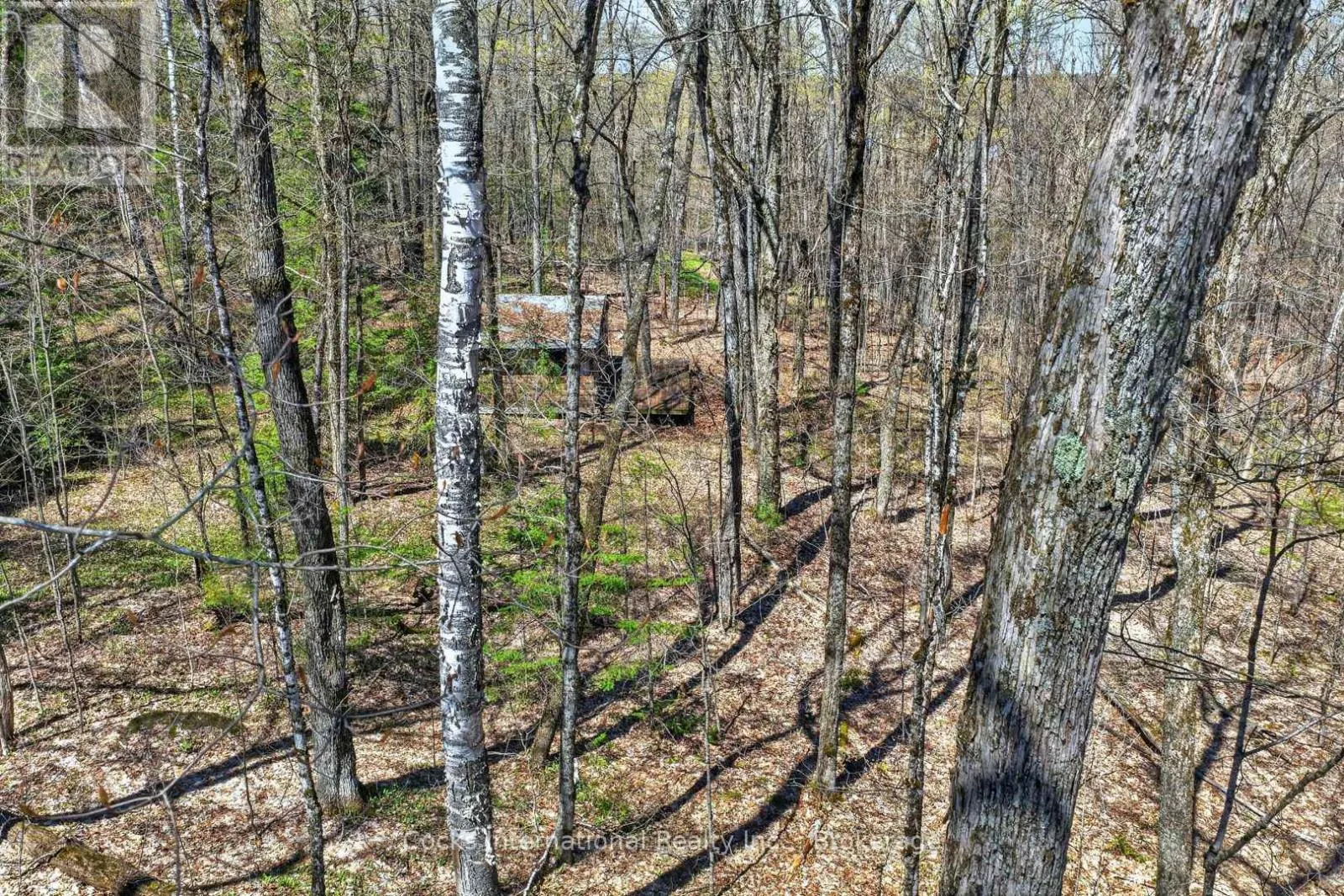 1165 SPRING LAKE ROAD