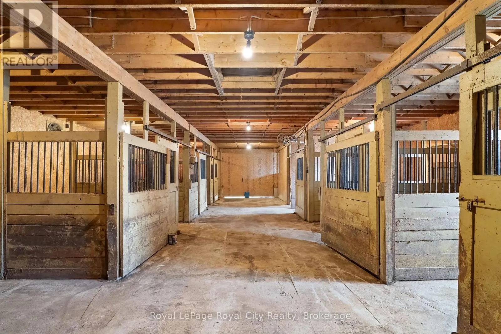 4646 SIDEROAD 20 N