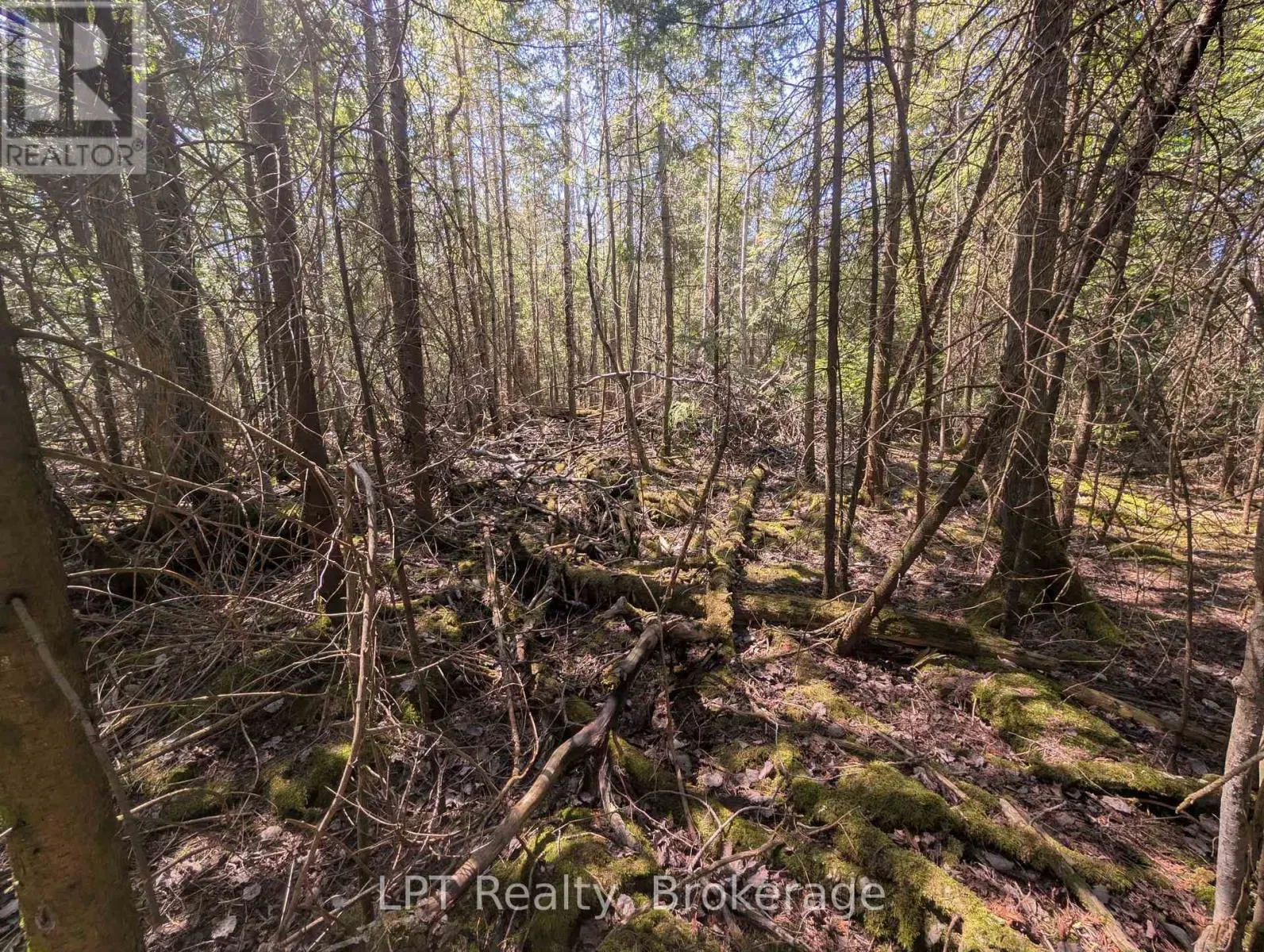 LOT 10 TRILLIUM CROSSING