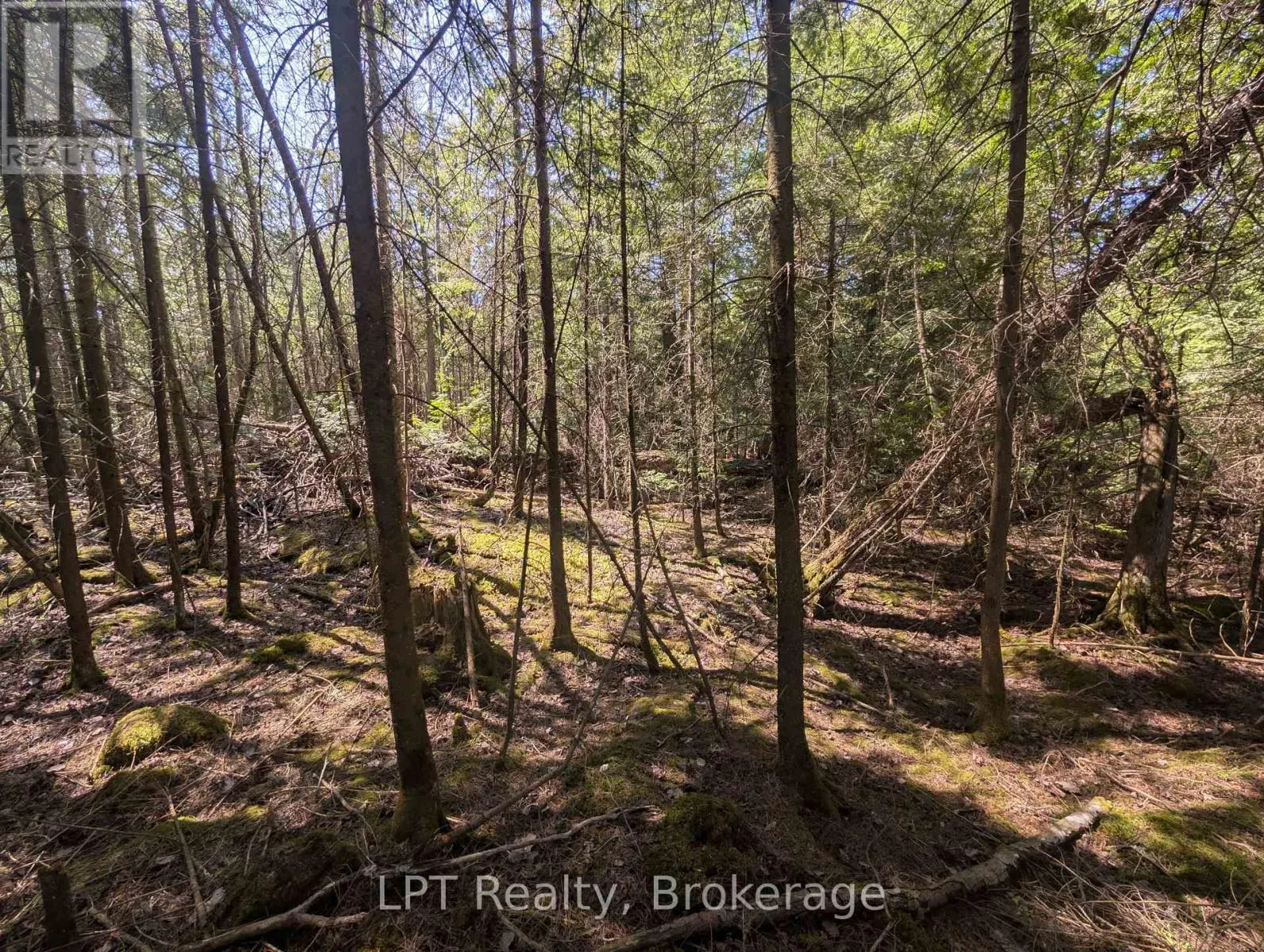LOT 10 TRILLIUM CROSSING