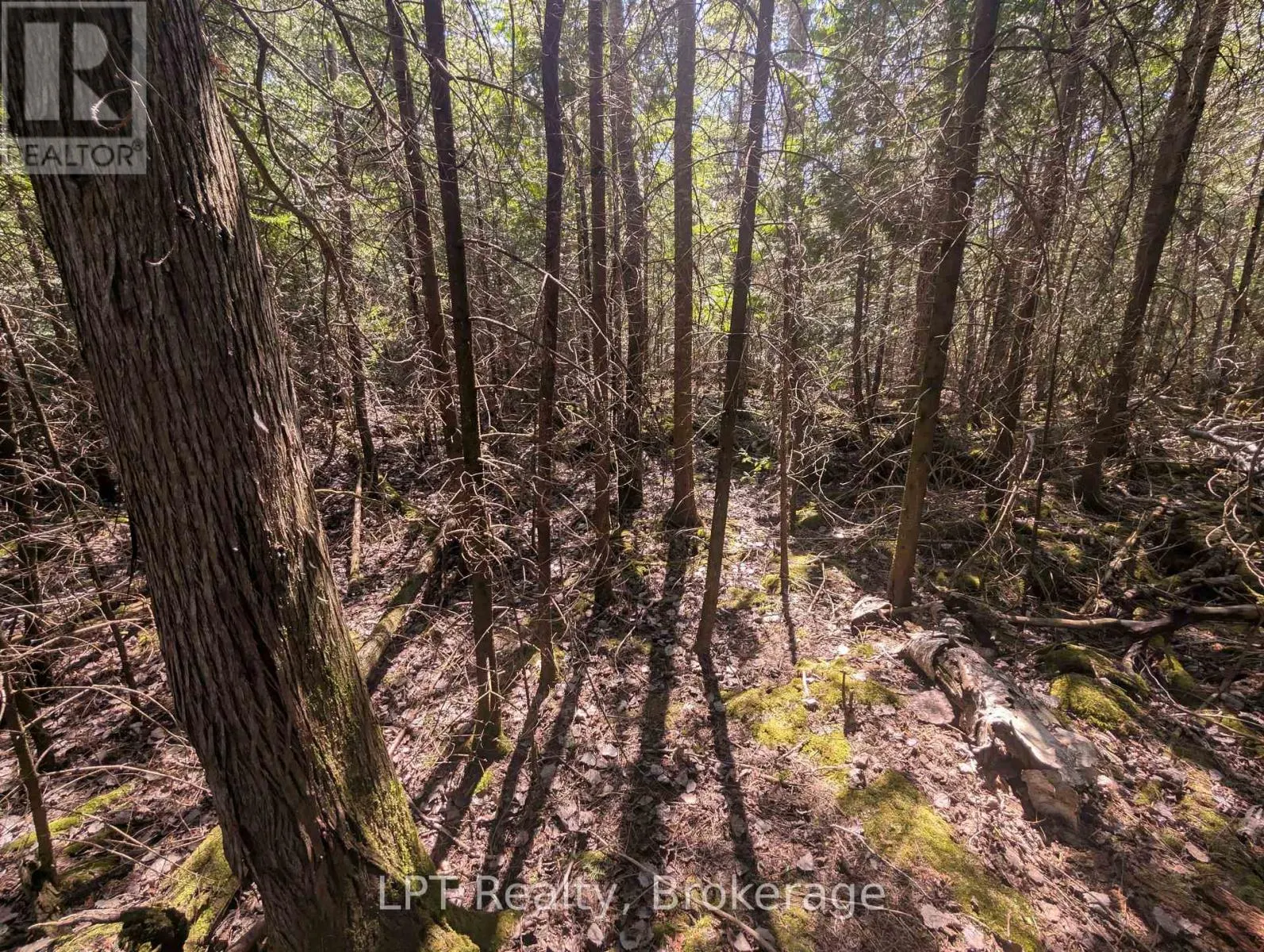 LOT 10 TRILLIUM CROSSING