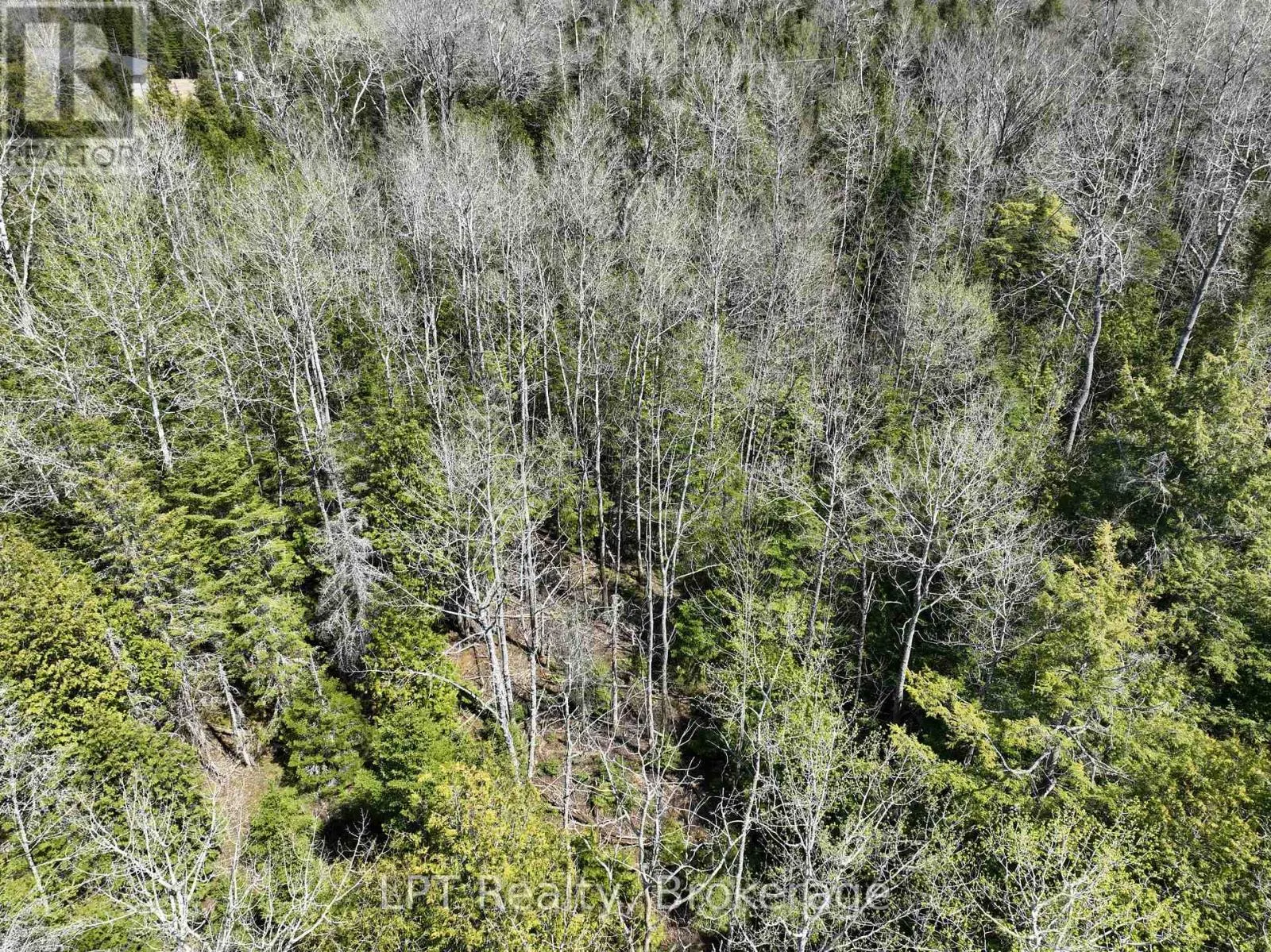 LOT 10 TRILLIUM CROSSING