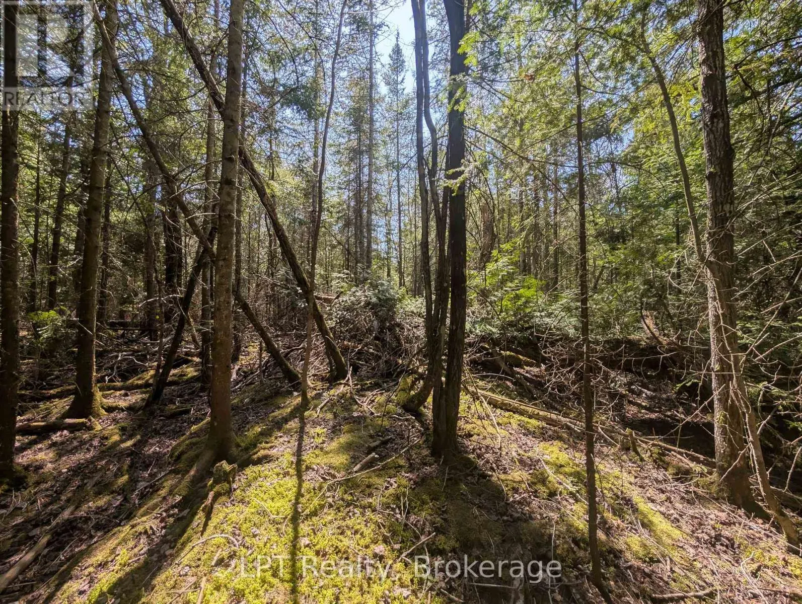 LOT 10 TRILLIUM CROSSING