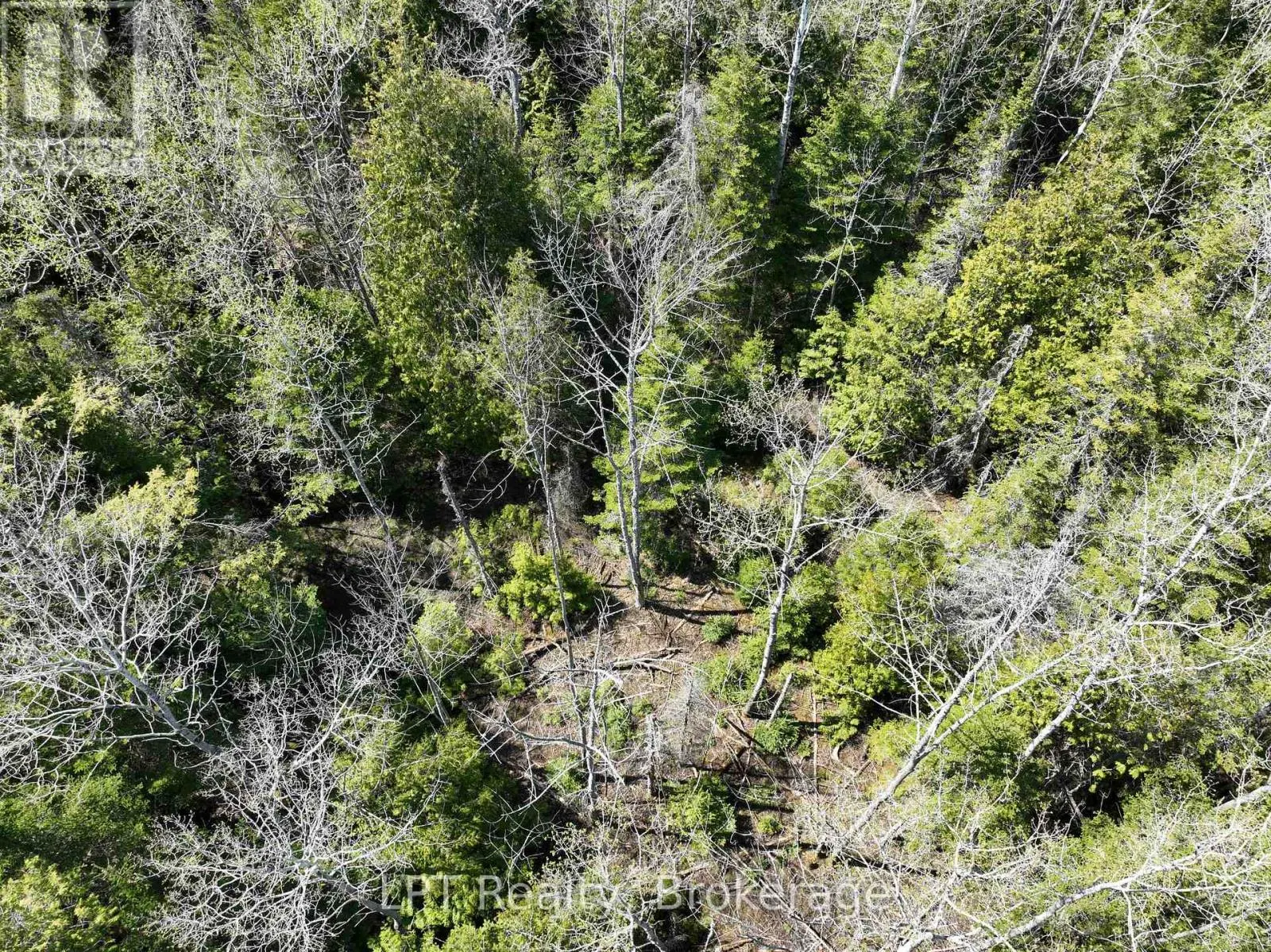 LOT 10 TRILLIUM CROSSING