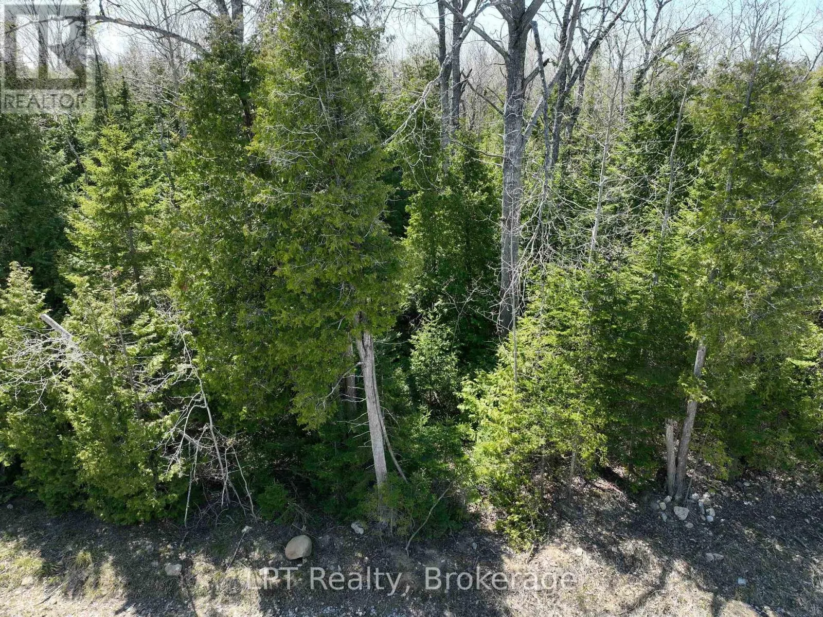 LOT 10 TRILLIUM CROSSING