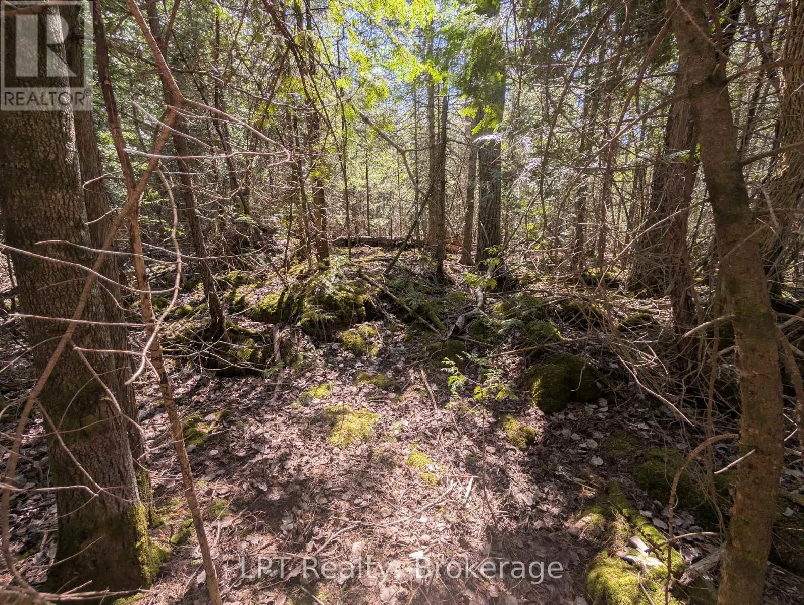 LOT 10 TRILLIUM CROSSING