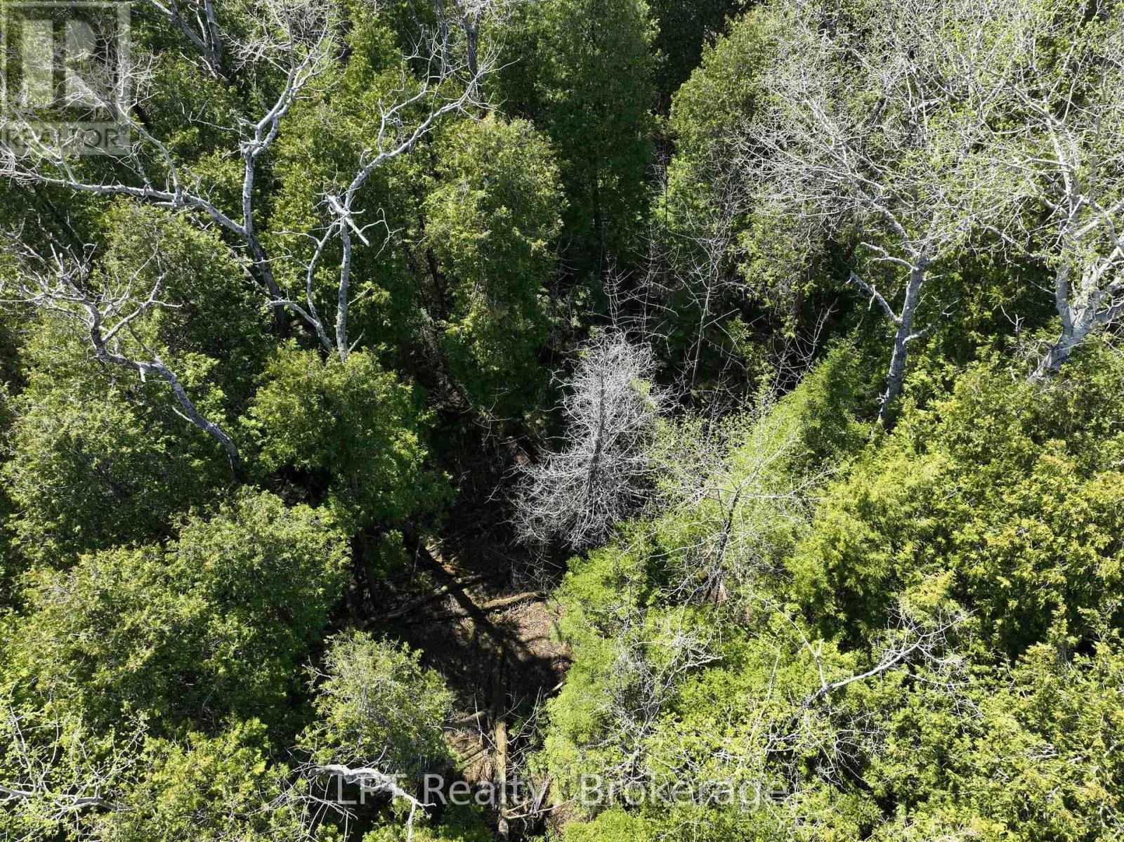 LOT 10 TRILLIUM CROSSING