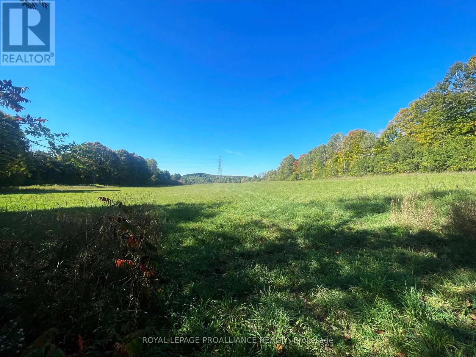 LOT C - 00 JAMIESON ROAD N