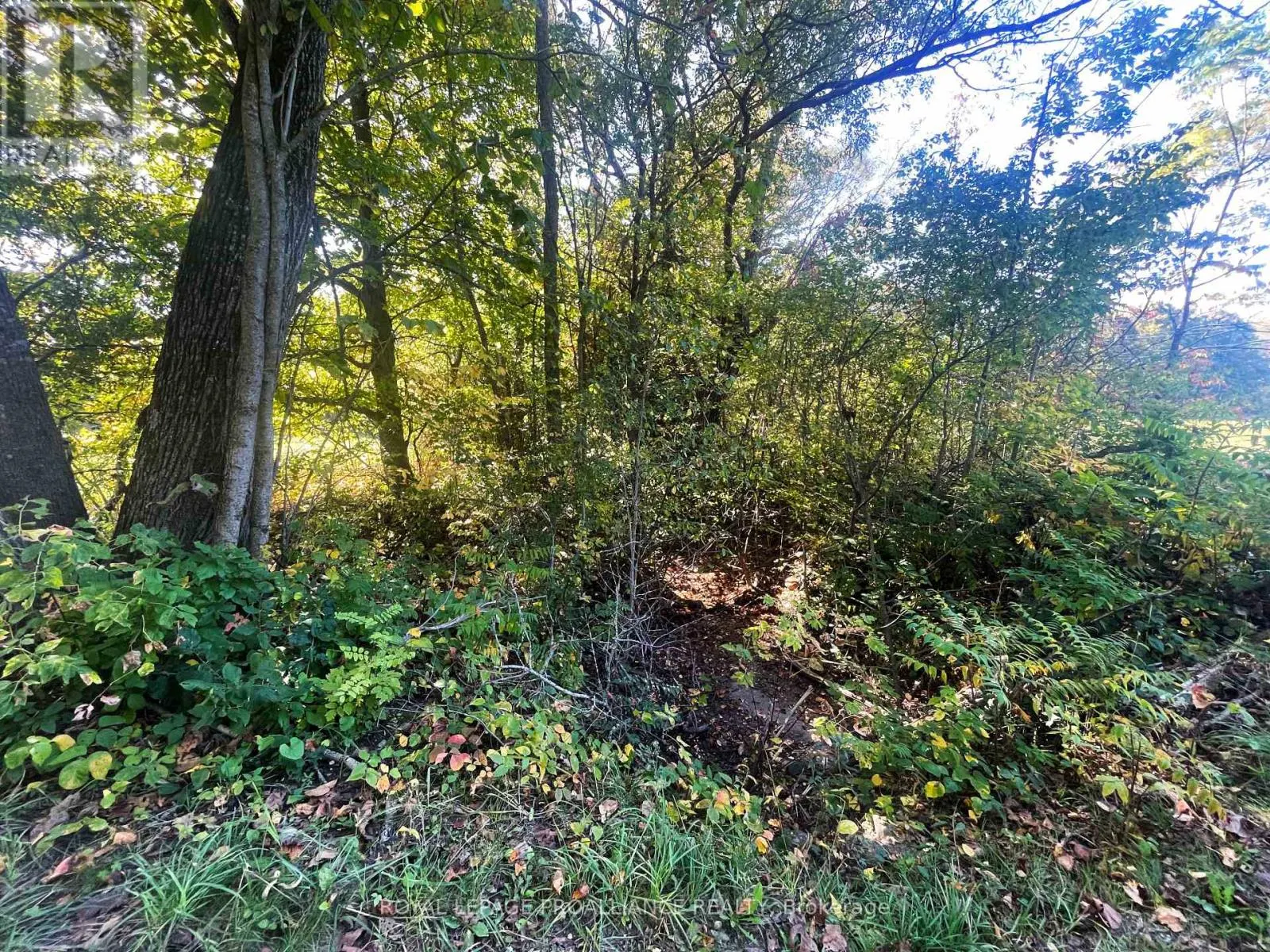 LOT C - 00 JAMIESON ROAD N
