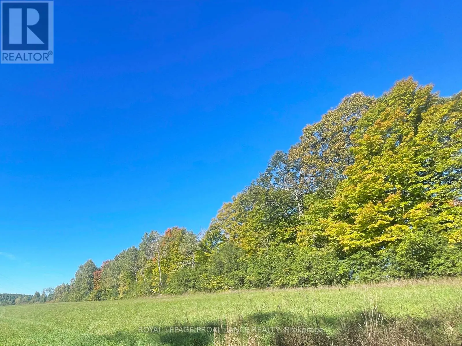 LOT C - 00 JAMIESON ROAD N