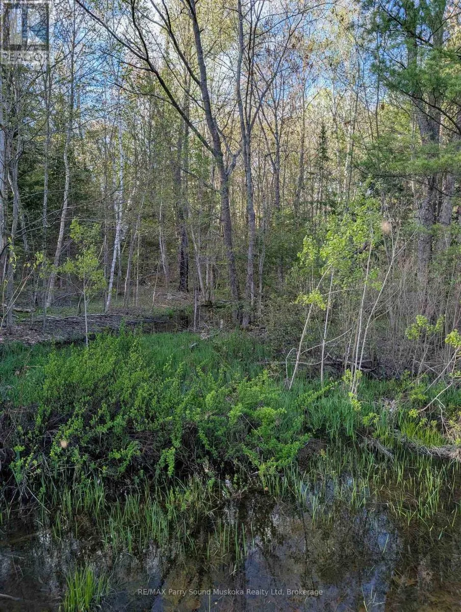 0 SUGAR LAKE ROAD