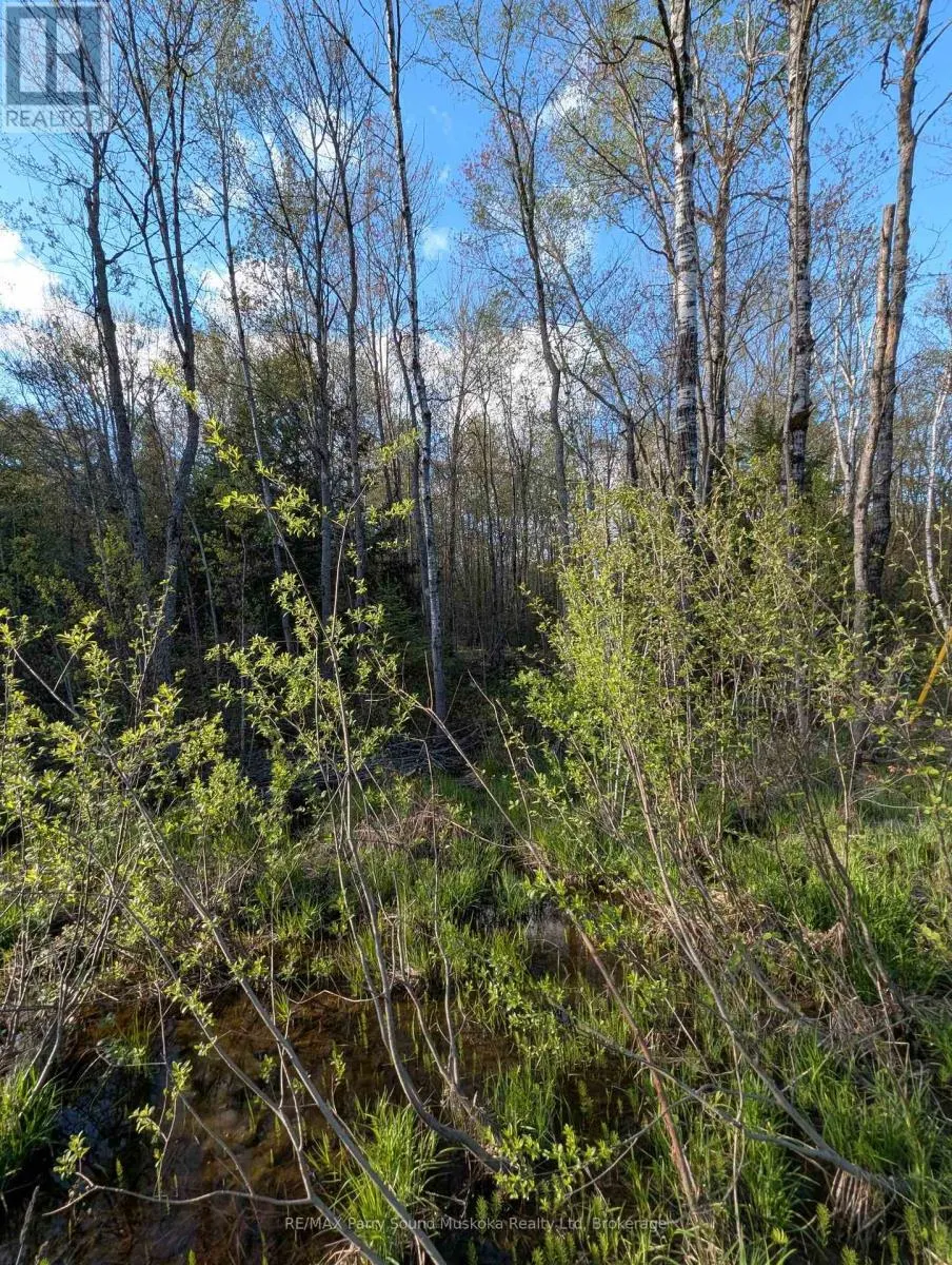 0 SUGAR LAKE ROAD