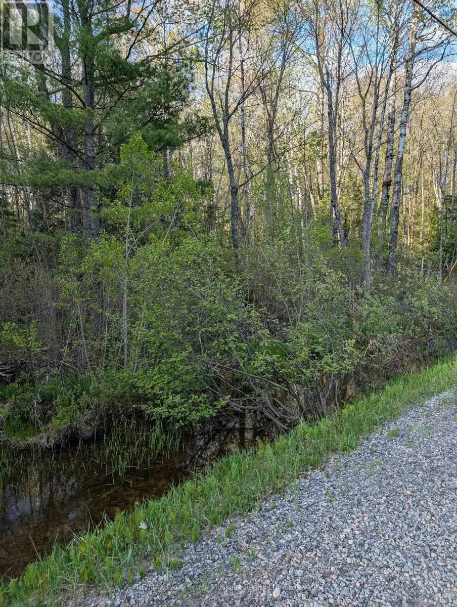 0 SUGAR LAKE ROAD