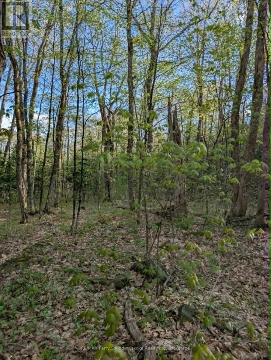 0 SUGAR LAKE ROAD