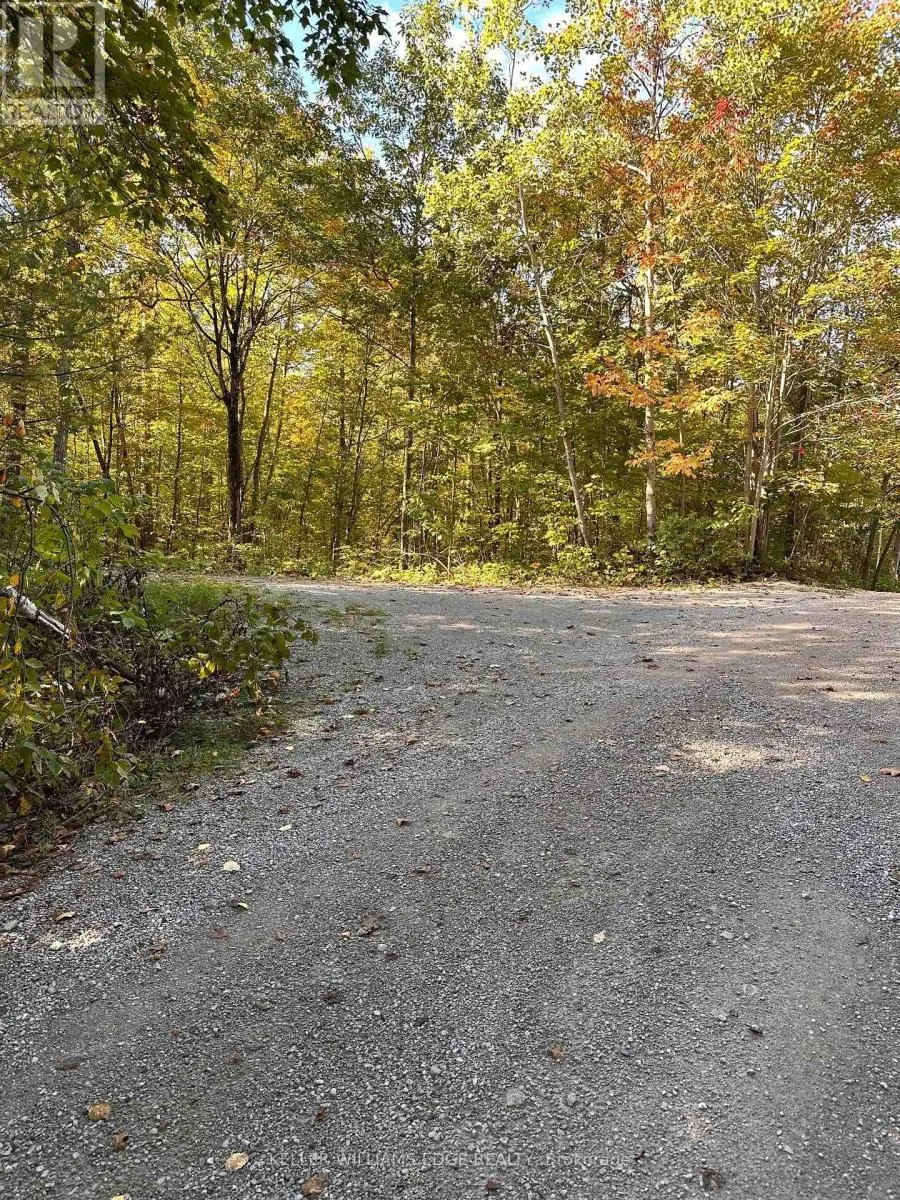 216 SMOOTH ROCK ROAD