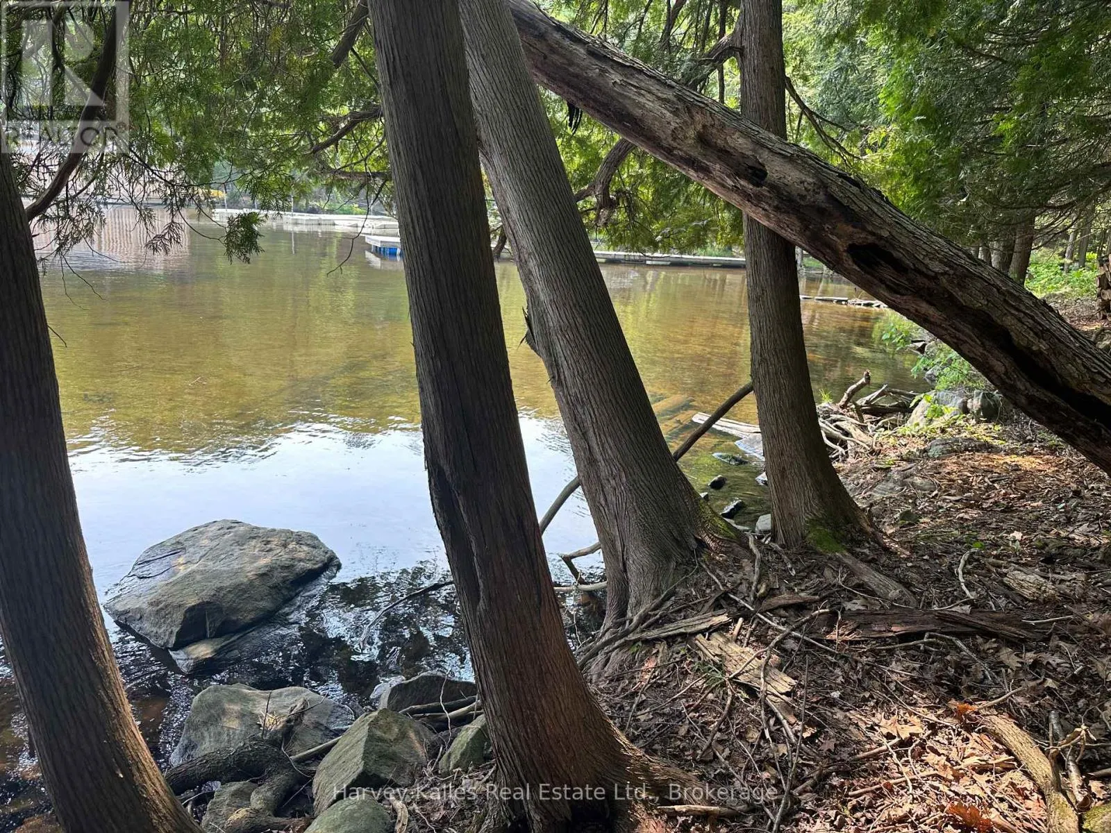 4 - 1254 BARLOCHAN ROAD #4