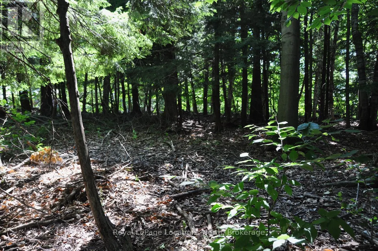 LOT 21 BAYSHORE ROAD