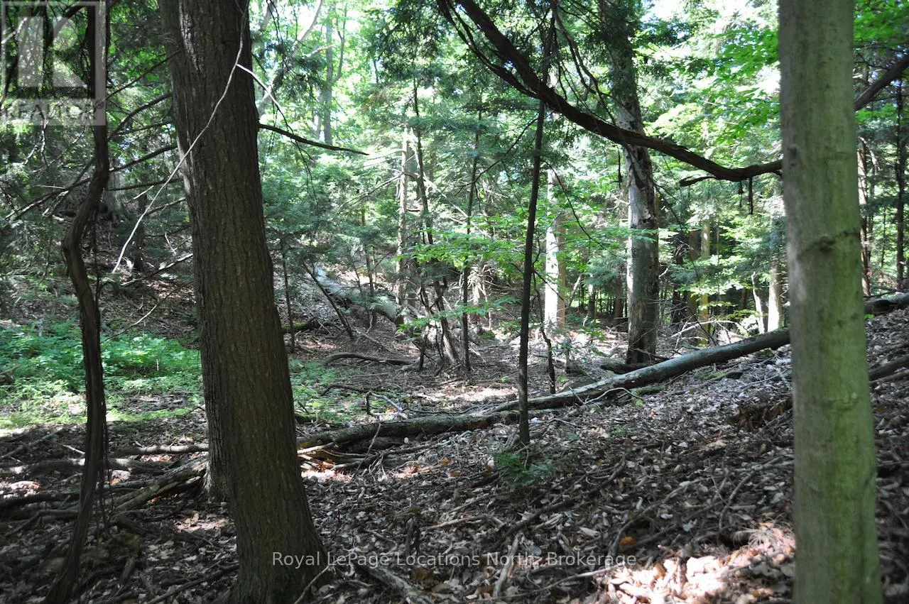 LOT 21 BAYSHORE ROAD