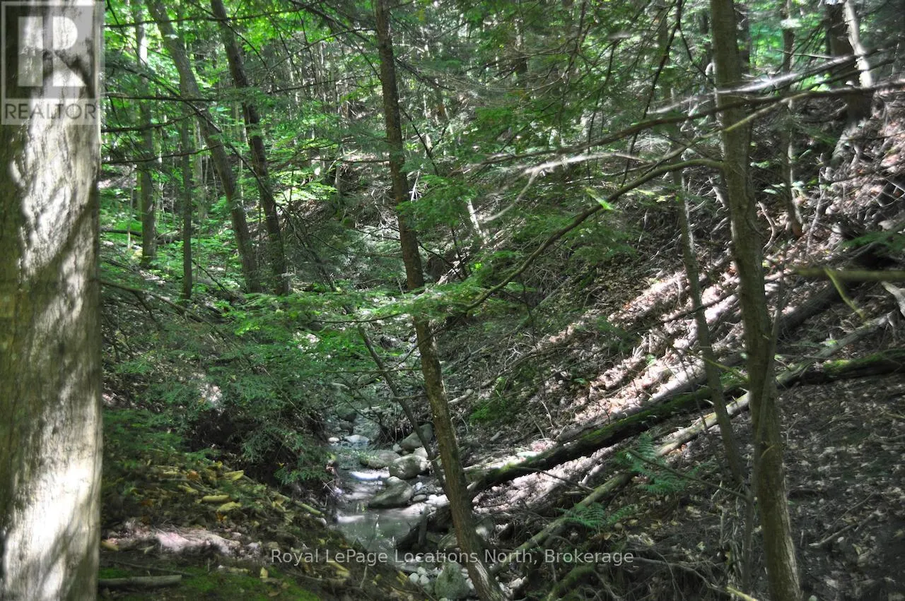LOT 21 BAYSHORE ROAD
