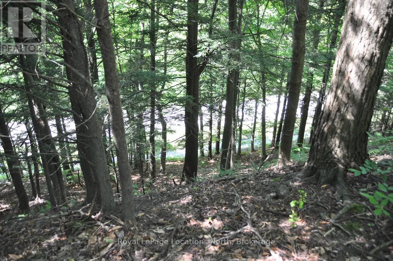 LOT 21 BAYSHORE ROAD