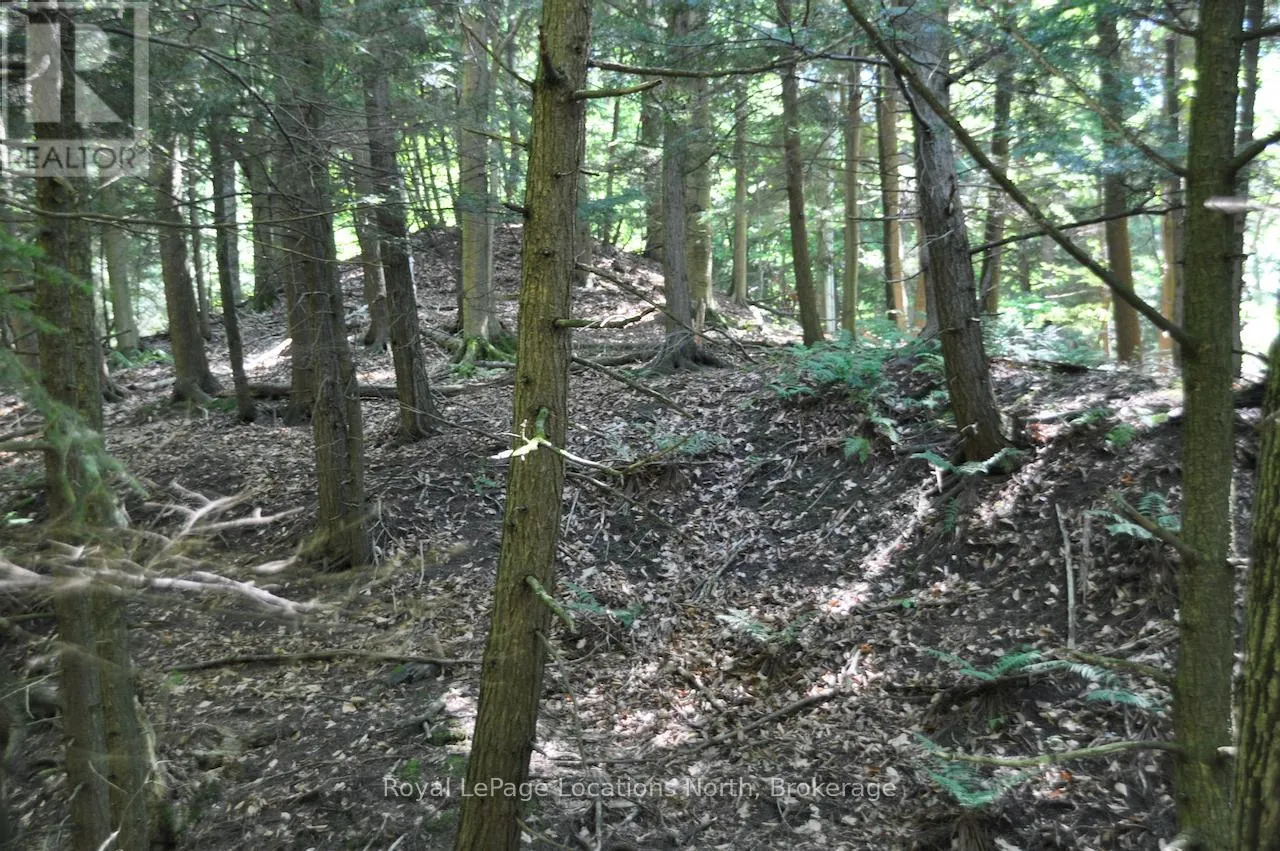 LOT 21 BAYSHORE ROAD