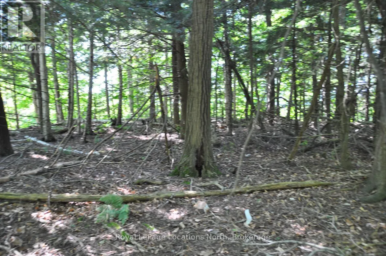 LOT 21 BAYSHORE ROAD