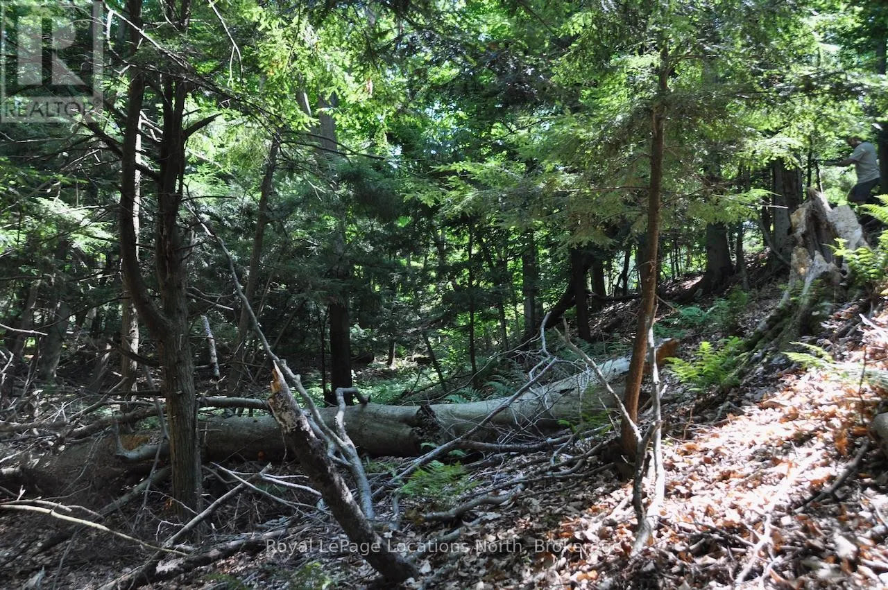 LOT 21 BAYSHORE ROAD