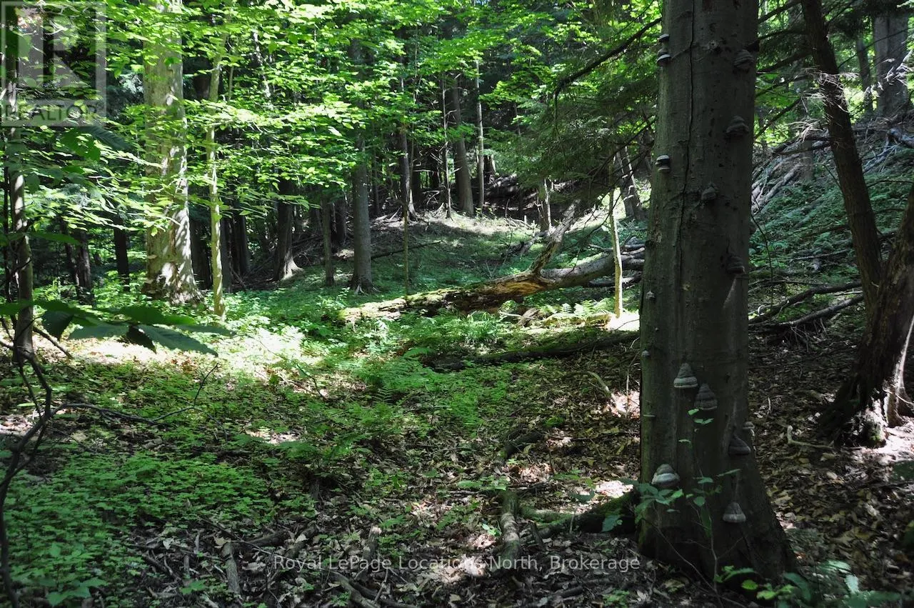 LOT 21 BAYSHORE ROAD