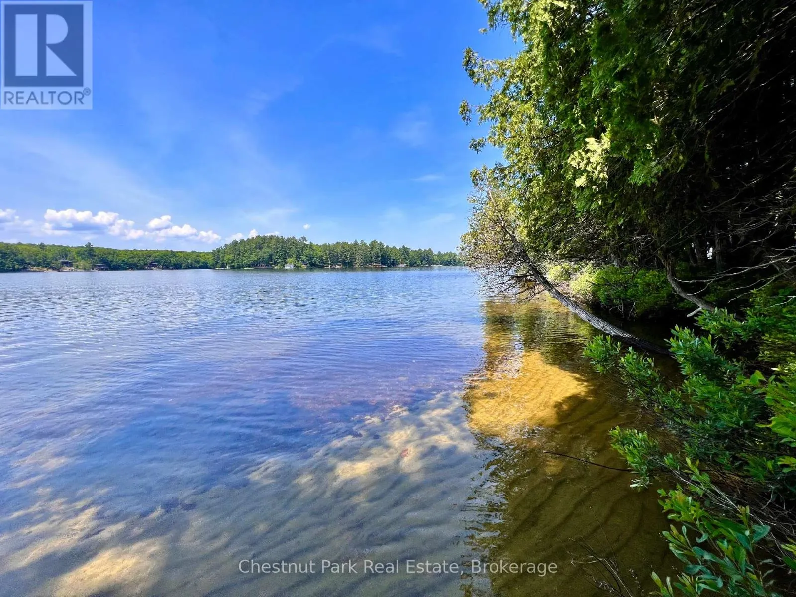 1 CEDAR ISLAND