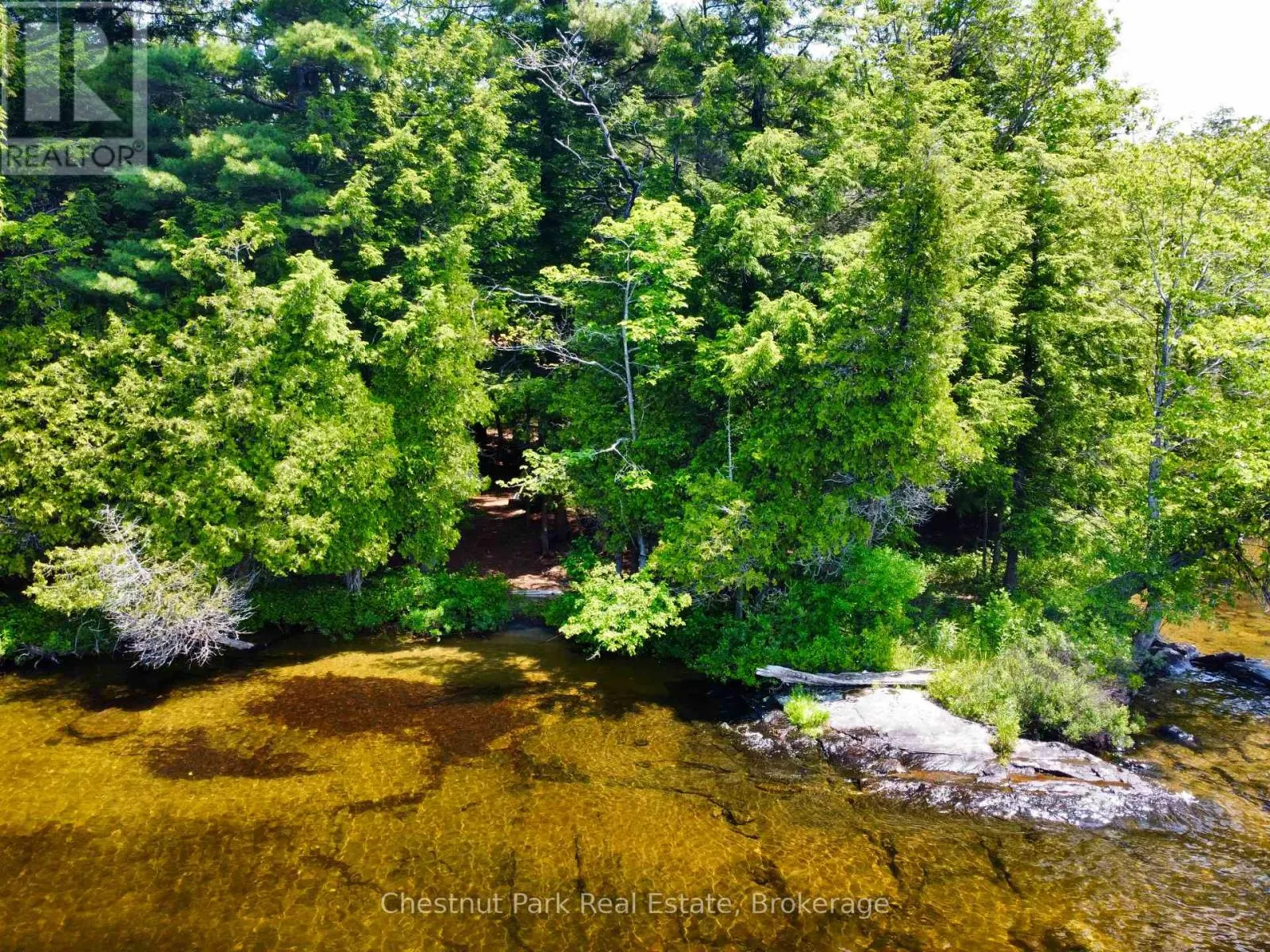 1 CEDAR ISLAND