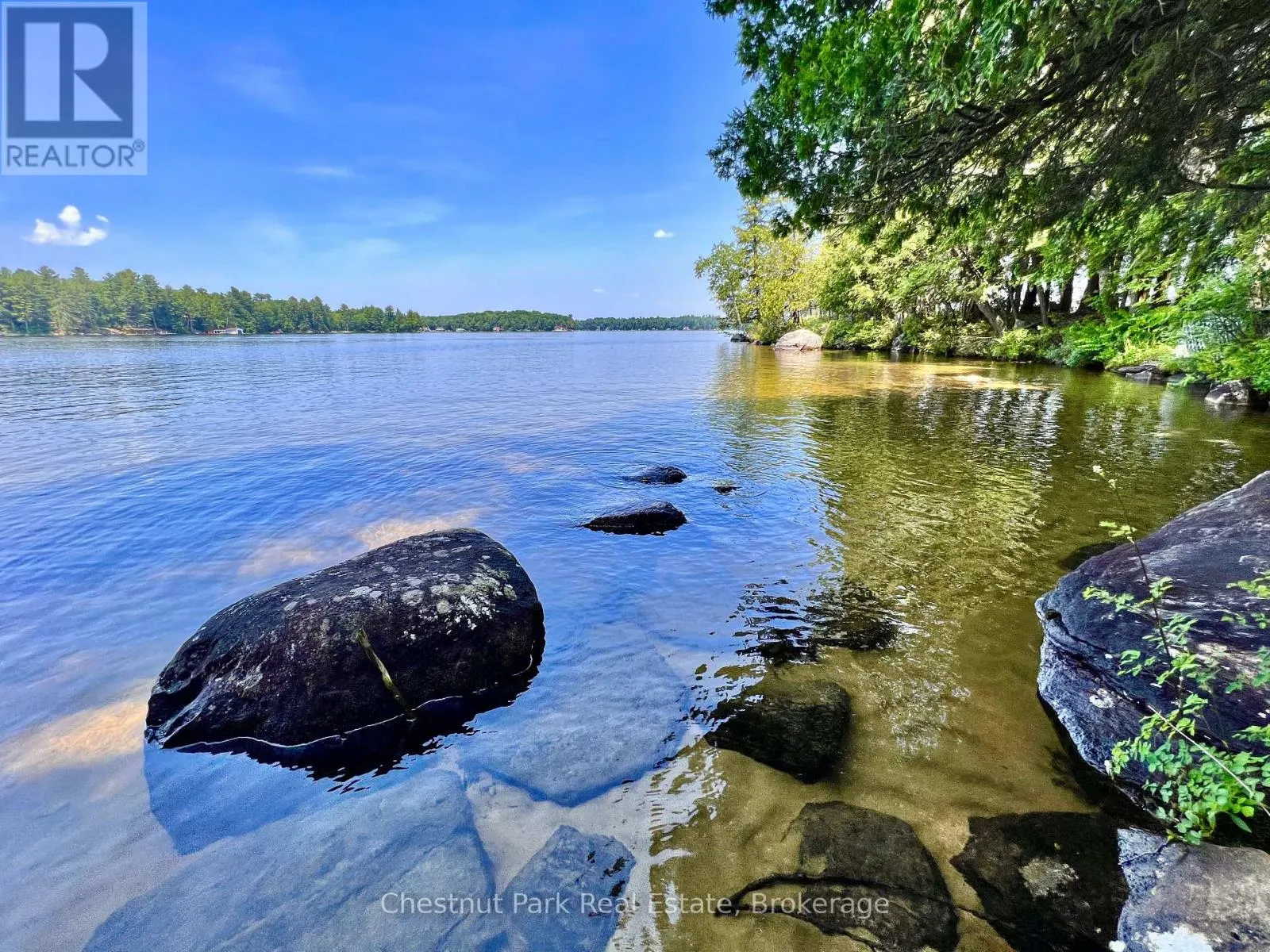 1 CEDAR ISLAND