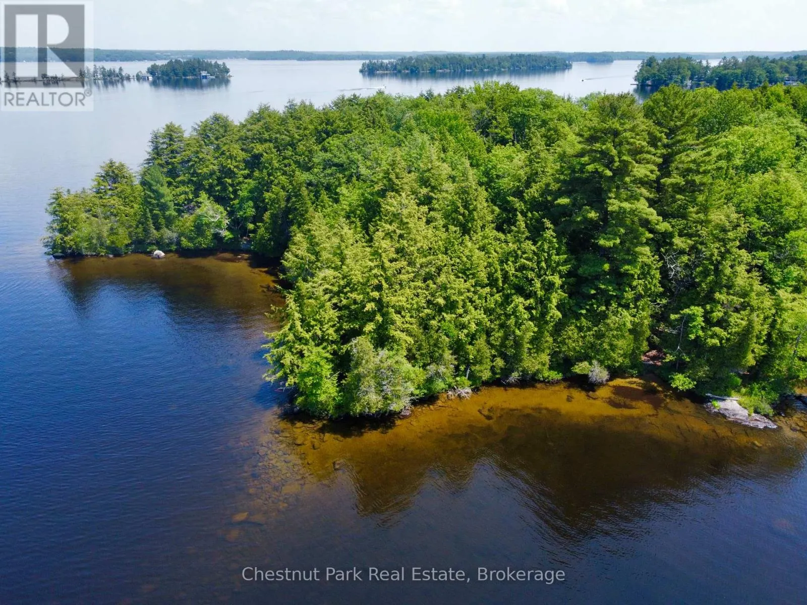 1 CEDAR ISLAND