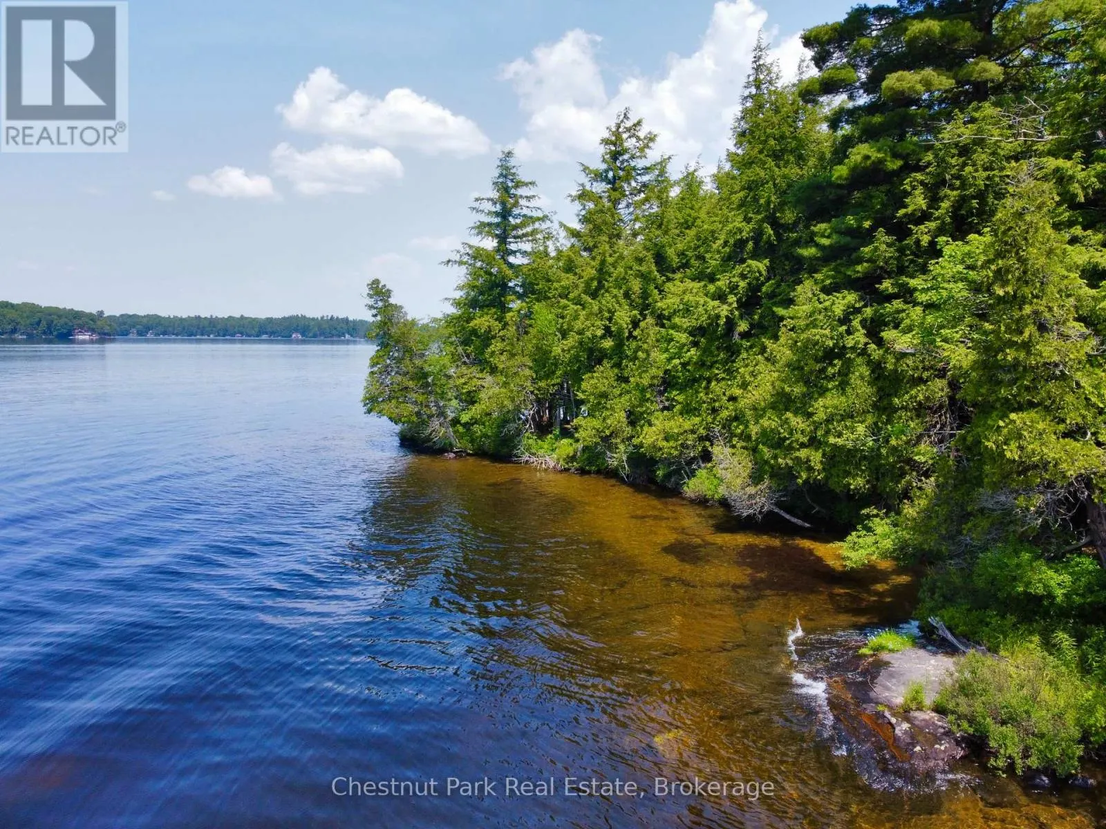 1 CEDAR ISLAND