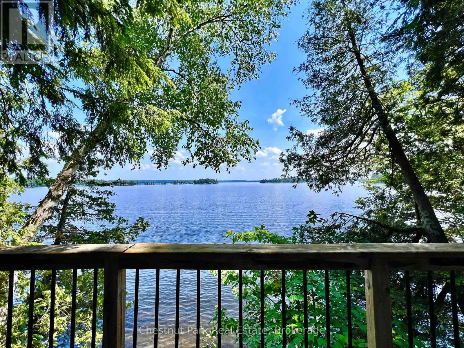 1 CEDAR ISLAND