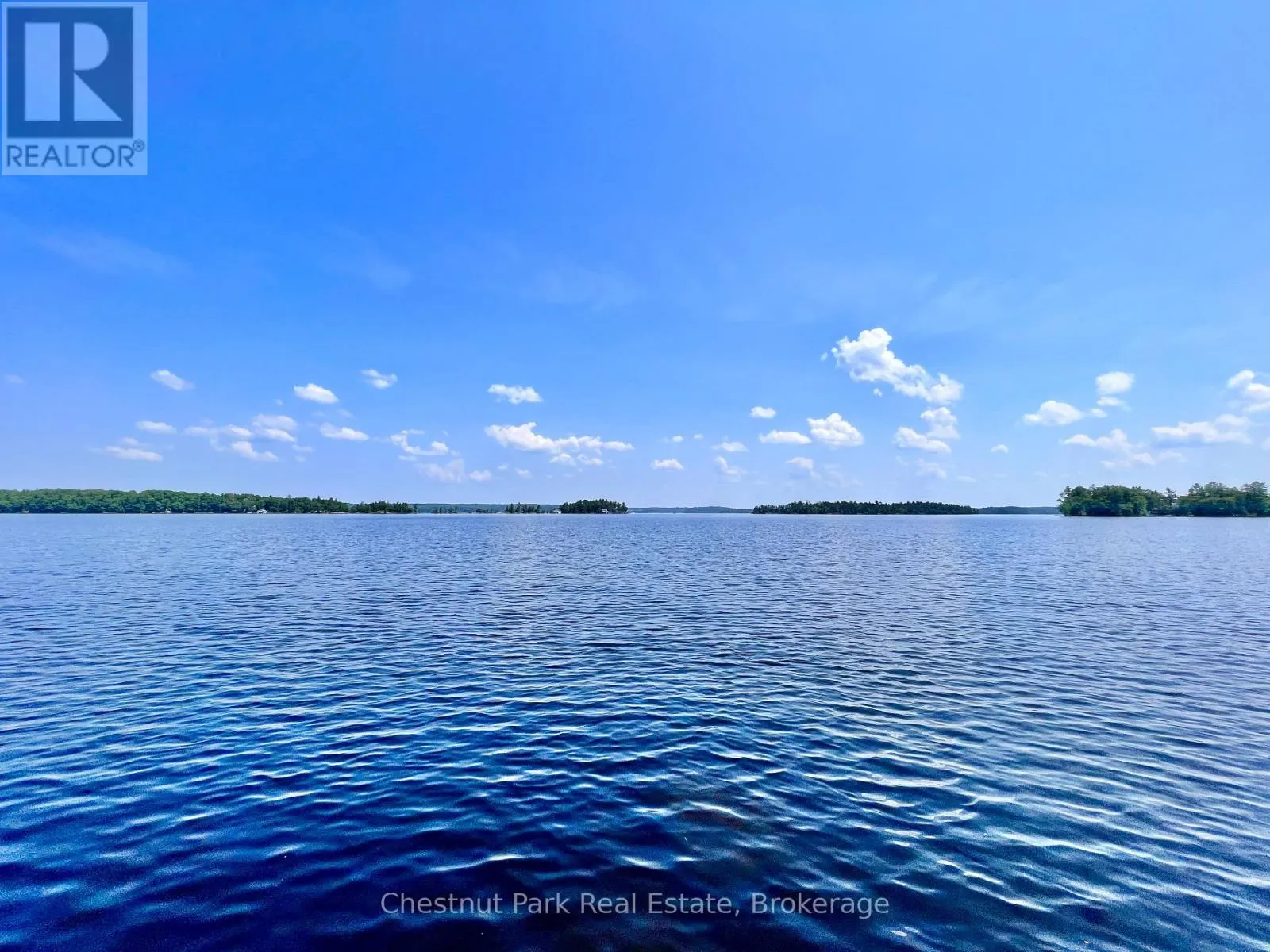 1 CEDAR ISLAND