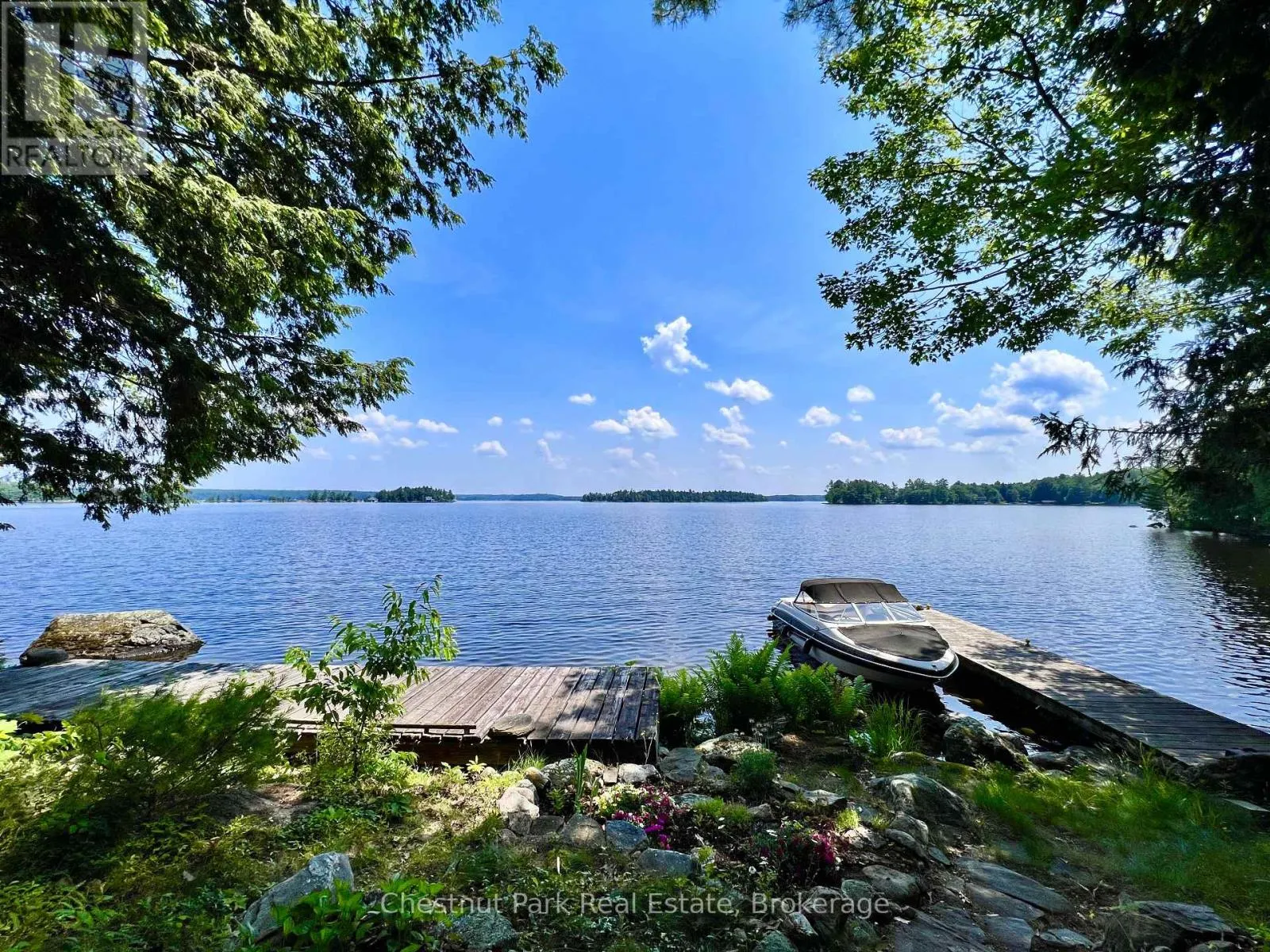 1 CEDAR ISLAND