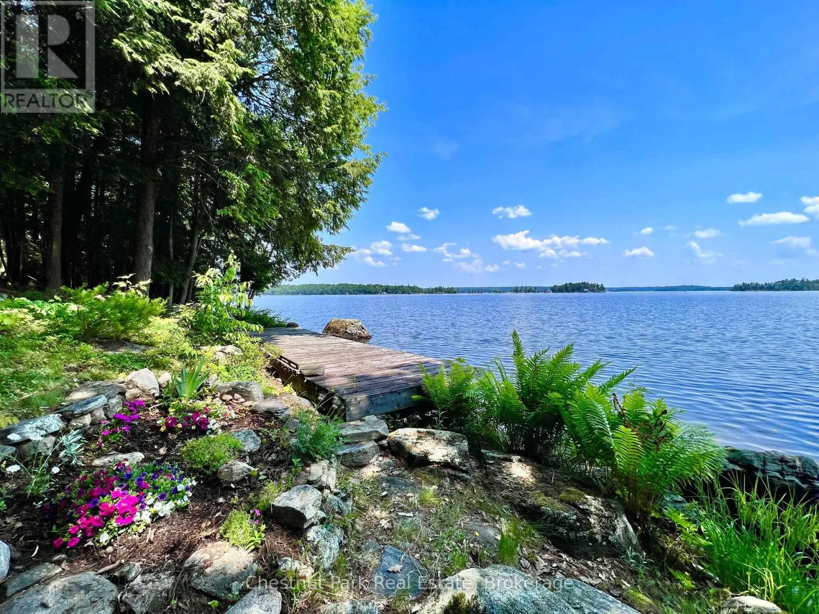 1 CEDAR ISLAND